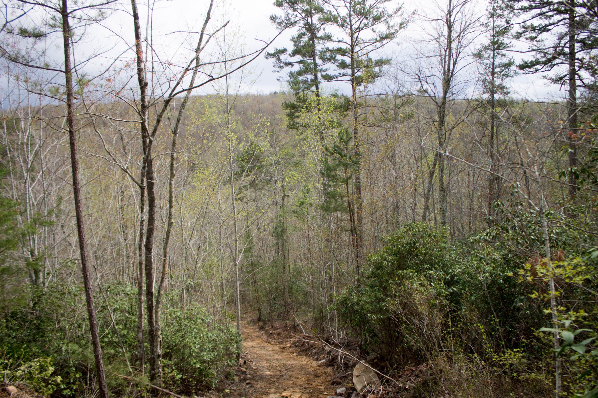 Hidden Hills Tract 24 photo 9