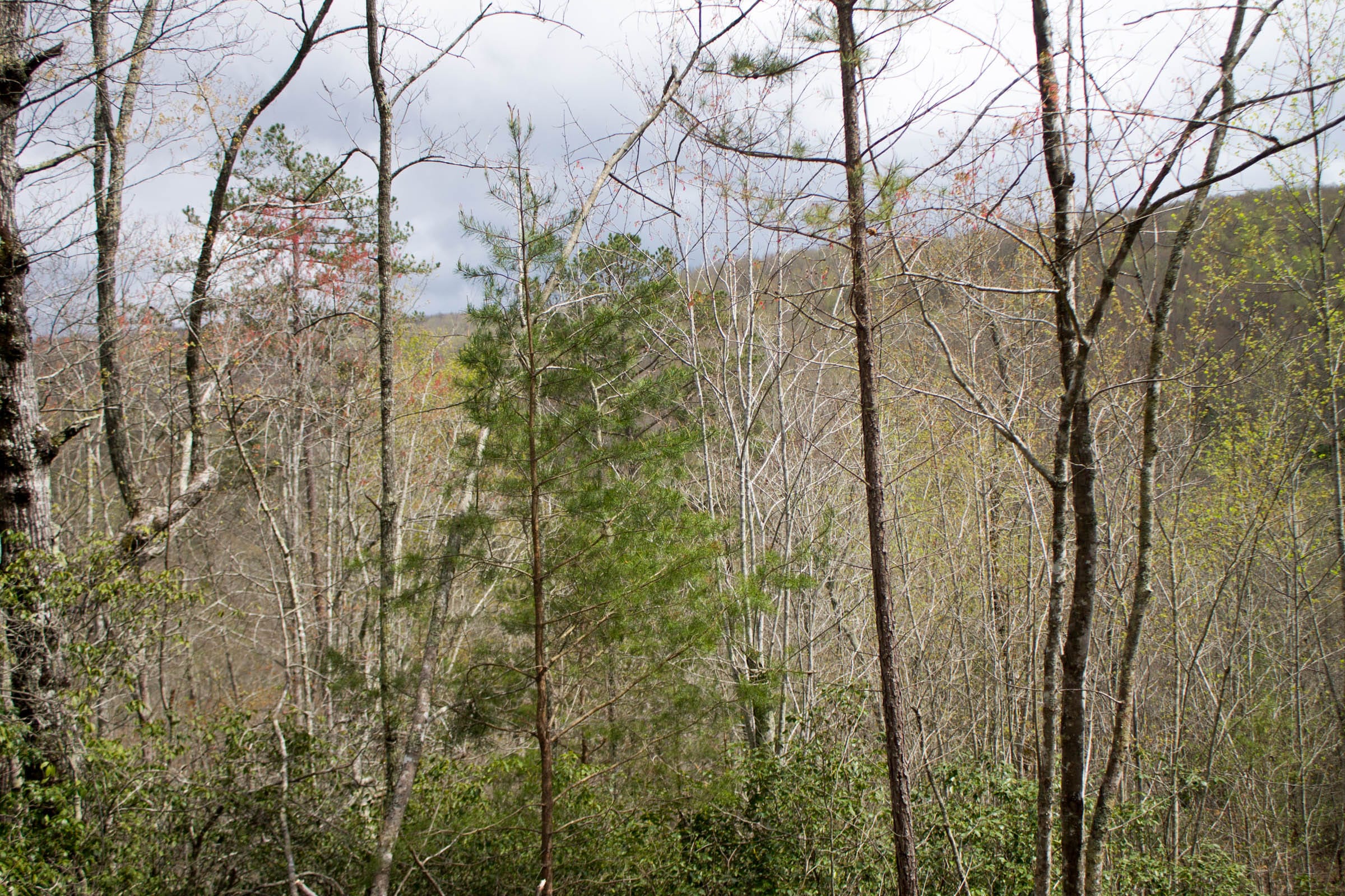 Hidden Hills Tract 24 photo 10