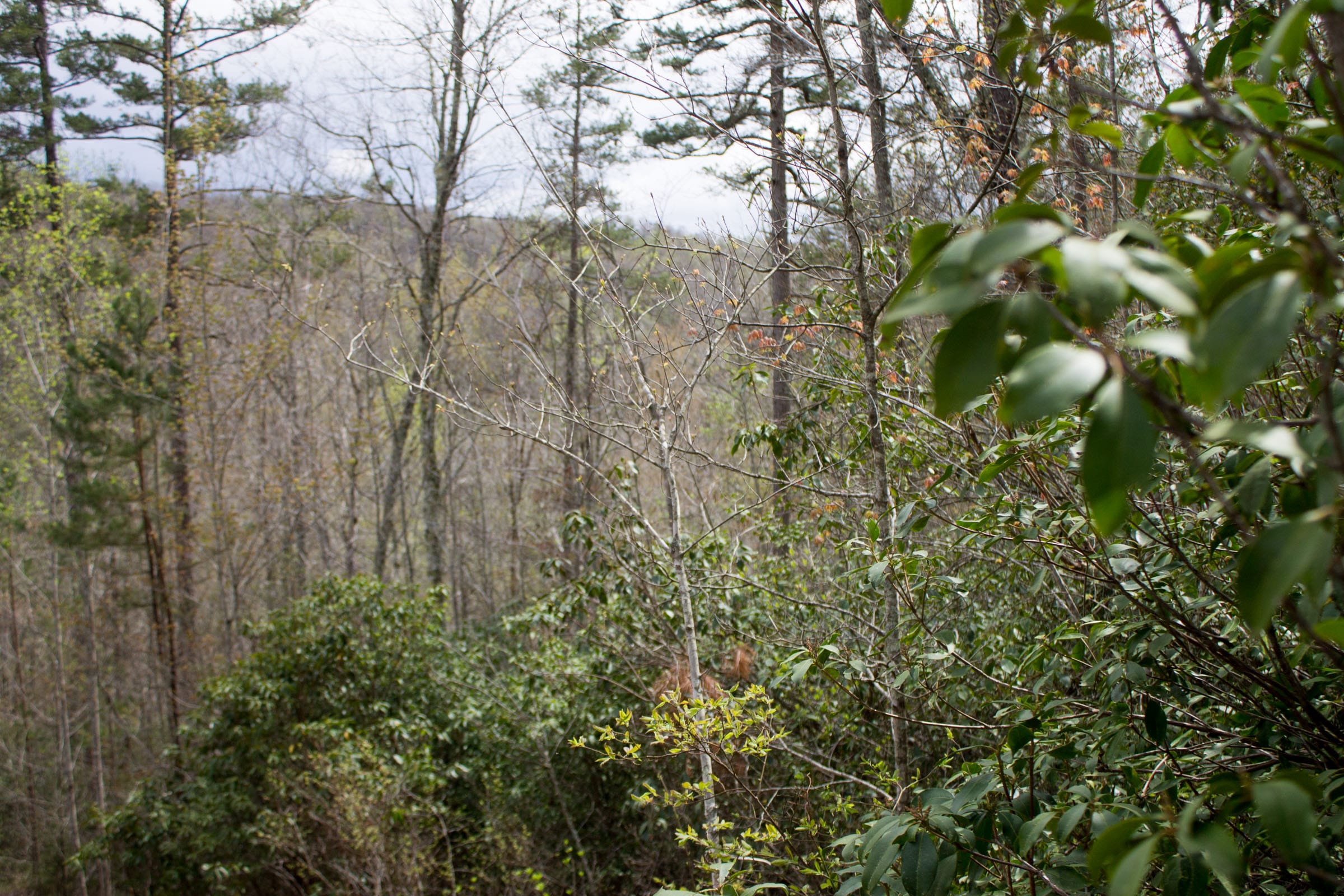 Hidden Hills Tract 24 photo 11