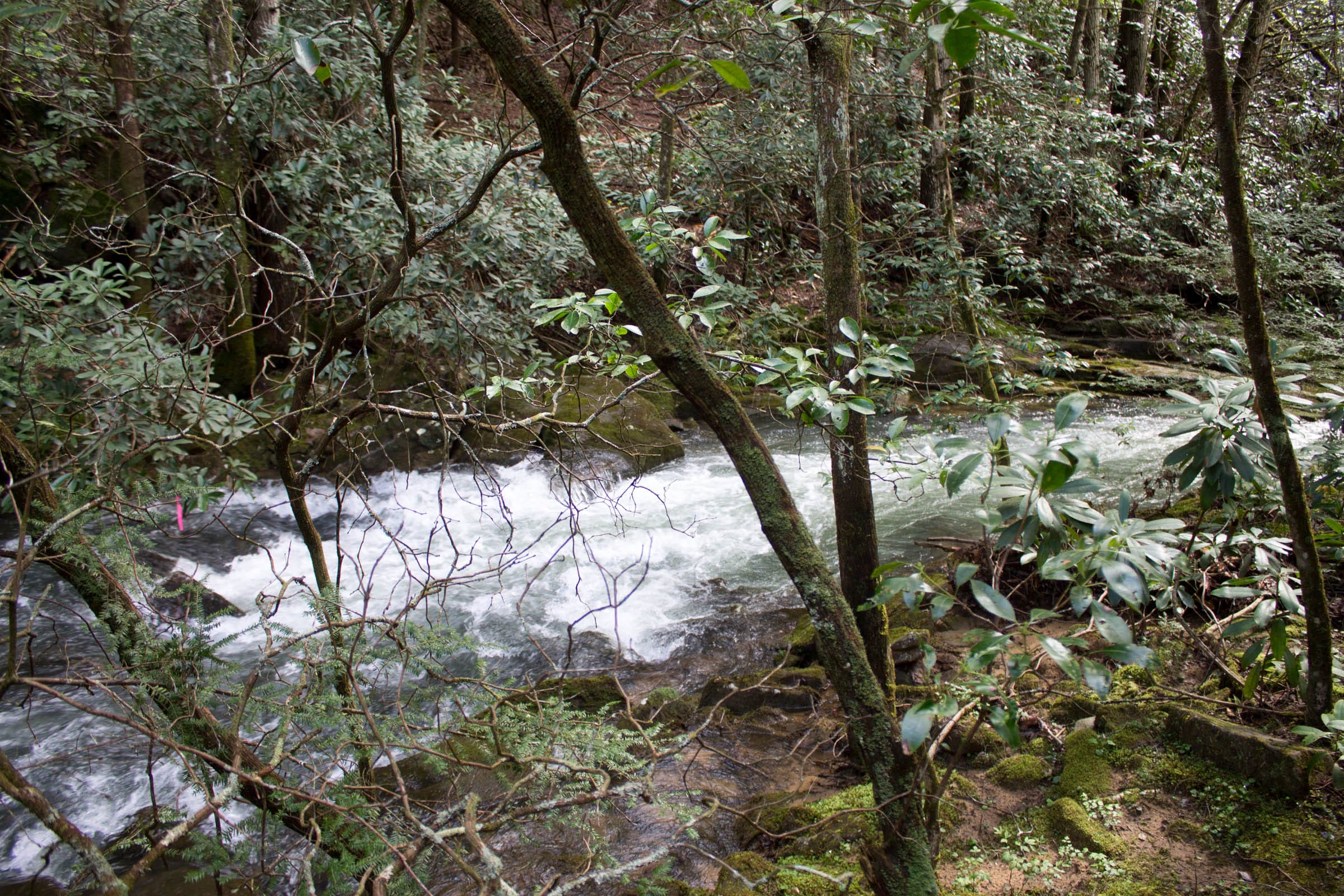 Hidden Hills Tract 24 photo 19