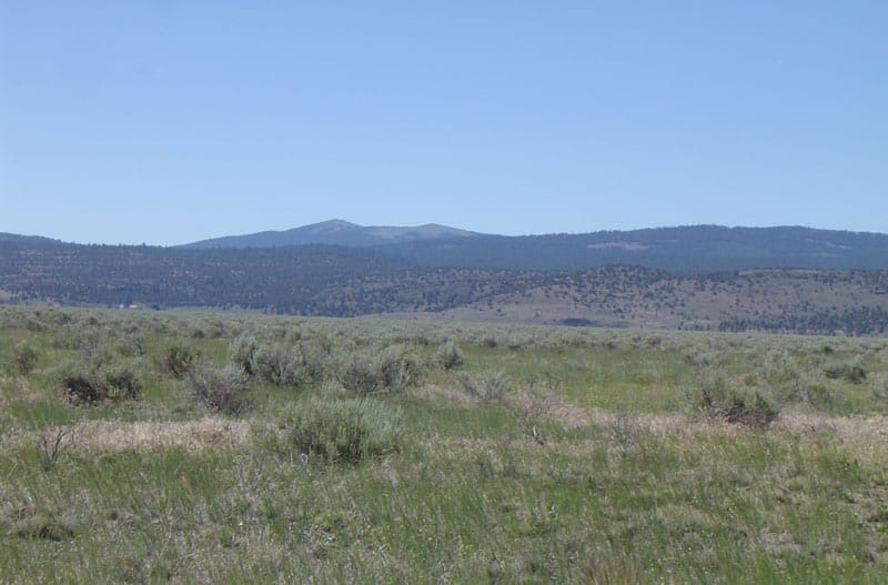 Moon Valley Ranch Tract 182 photo 5