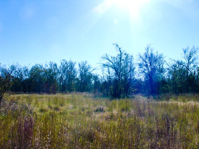 Saddlebrook Ranch Tract 30 photo 3