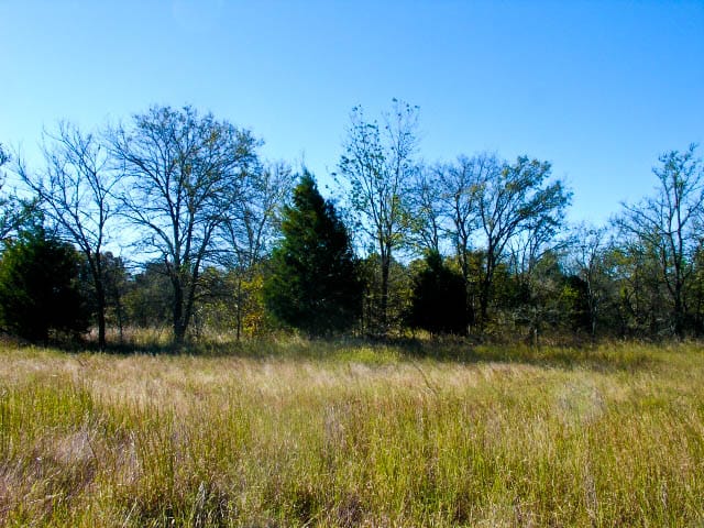 Saddlebrook Ranch Tract 30 photo 4