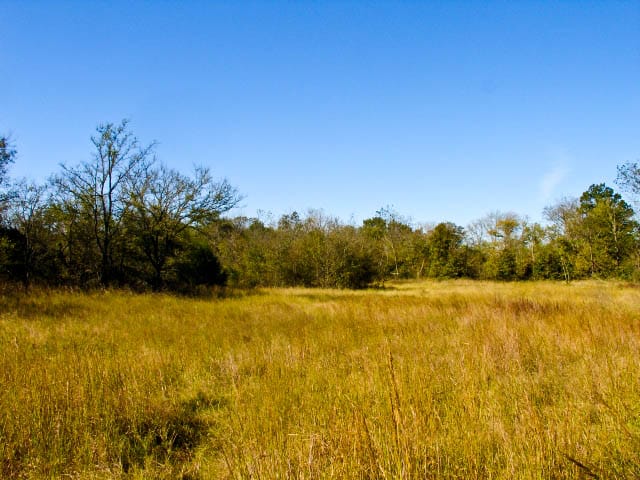 Saddlebrook Ranch Tract 30 photo 5
