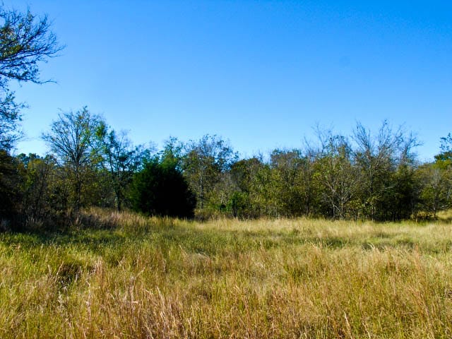 Saddlebrook Ranch Tract 30 photo 6