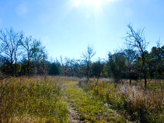 Saddlebrook Ranch Tract 30 photo 1