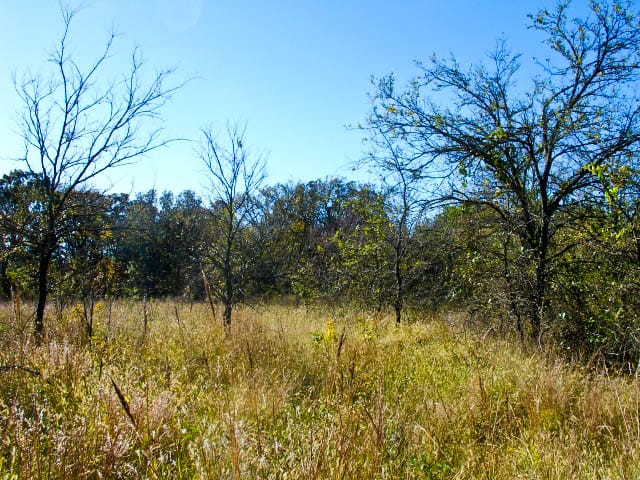 Saddlebrook Ranch Tract 30 photo 7