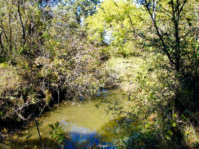 Saddlebrook Ranch Tract 30 photo 2