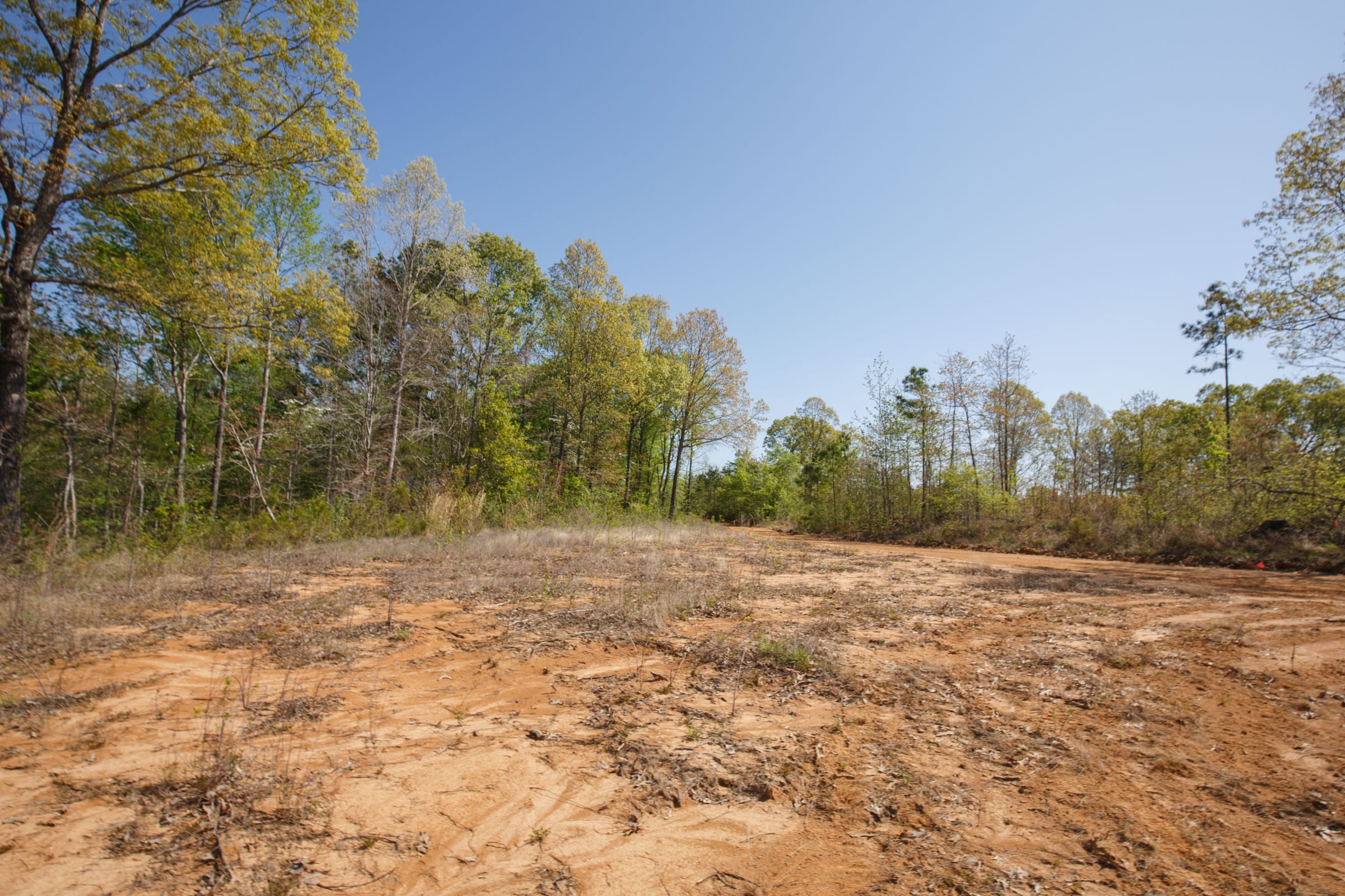 Twin Rivers Tract 6 photo 4