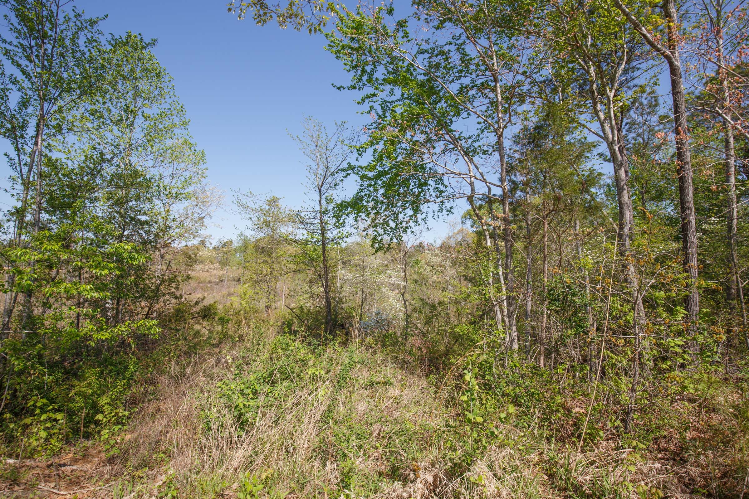 Twin Rivers Tract 6 photo 5