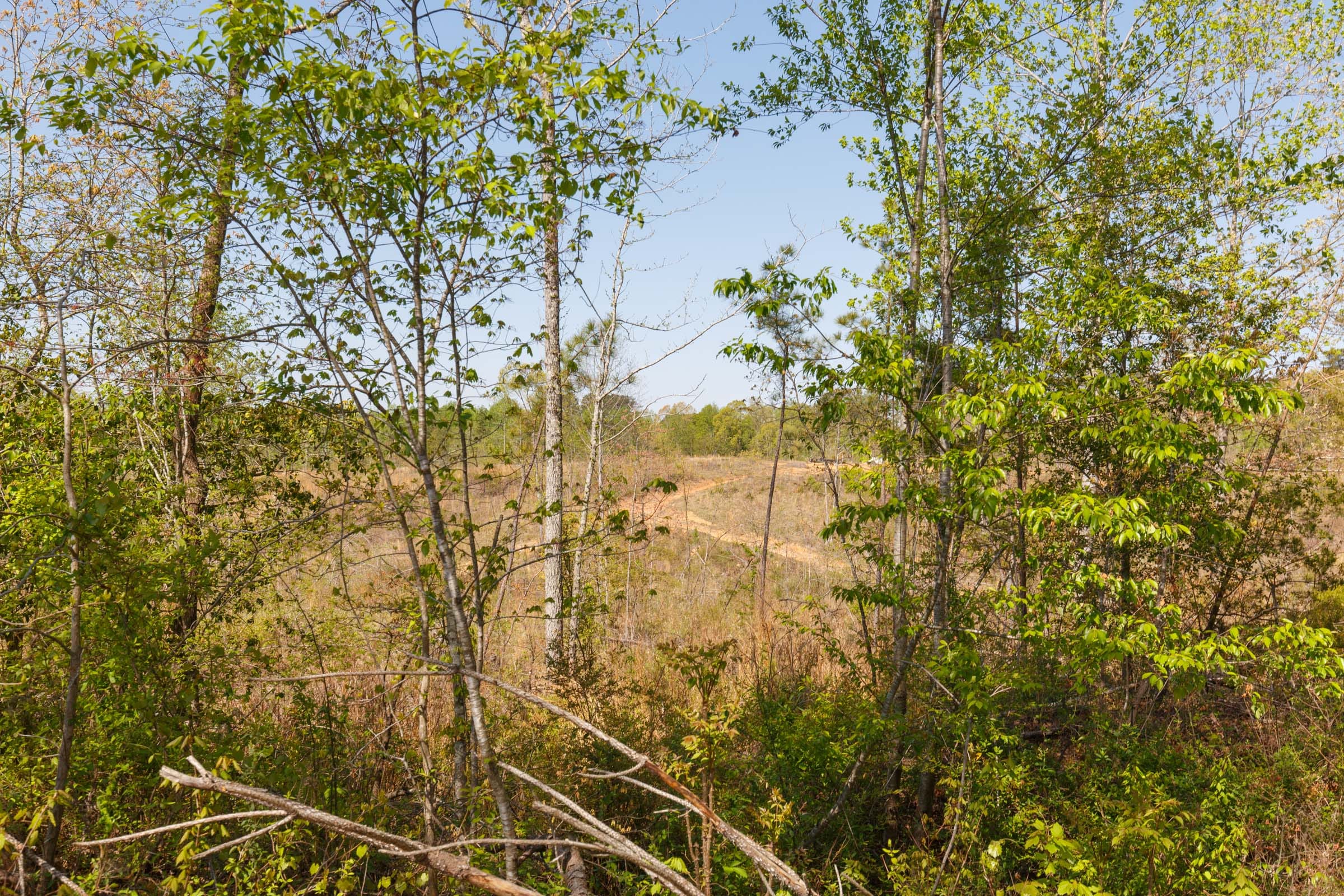 Twin Rivers Tract 6 photo 7