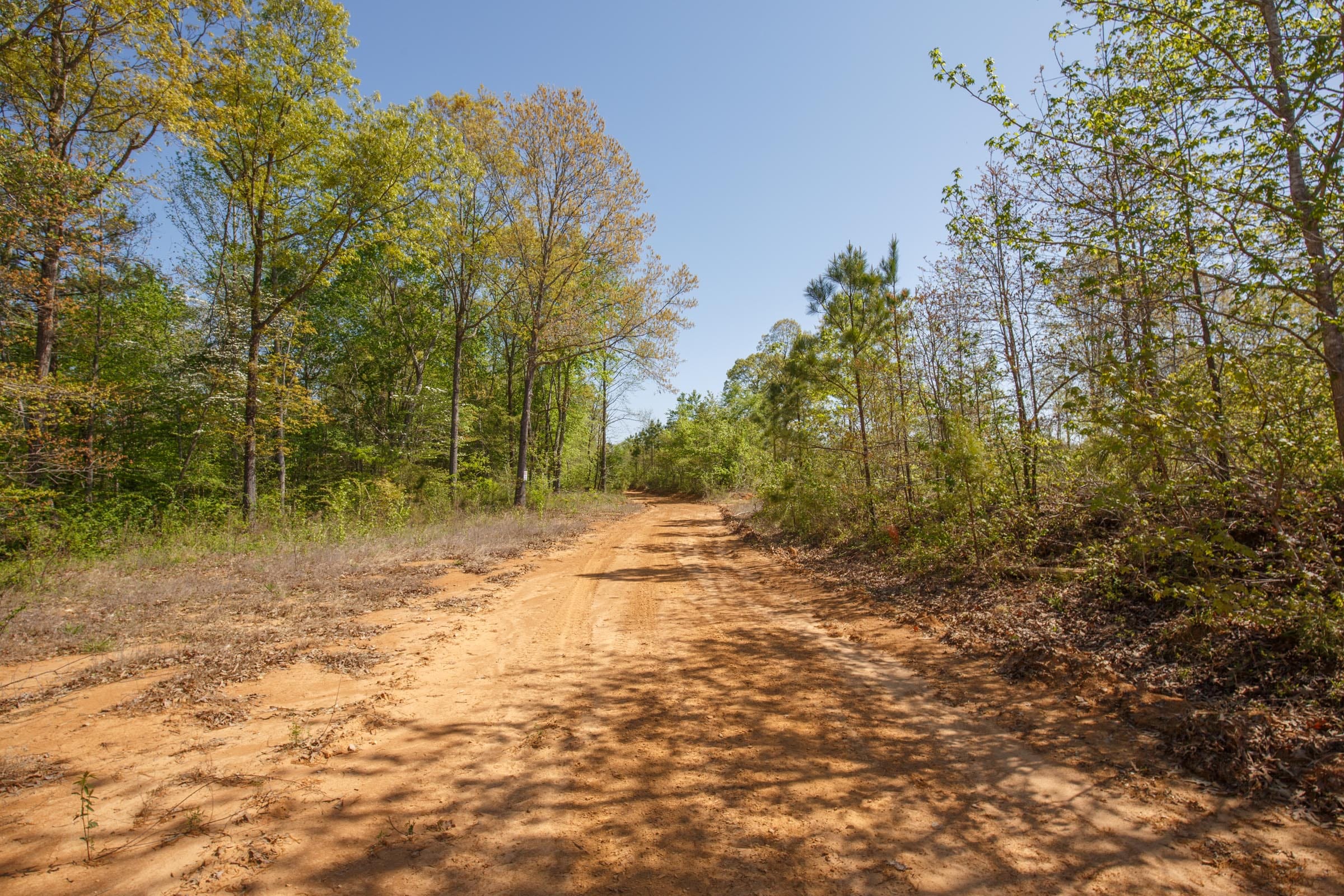 Twin Rivers Tract 6 photo 2