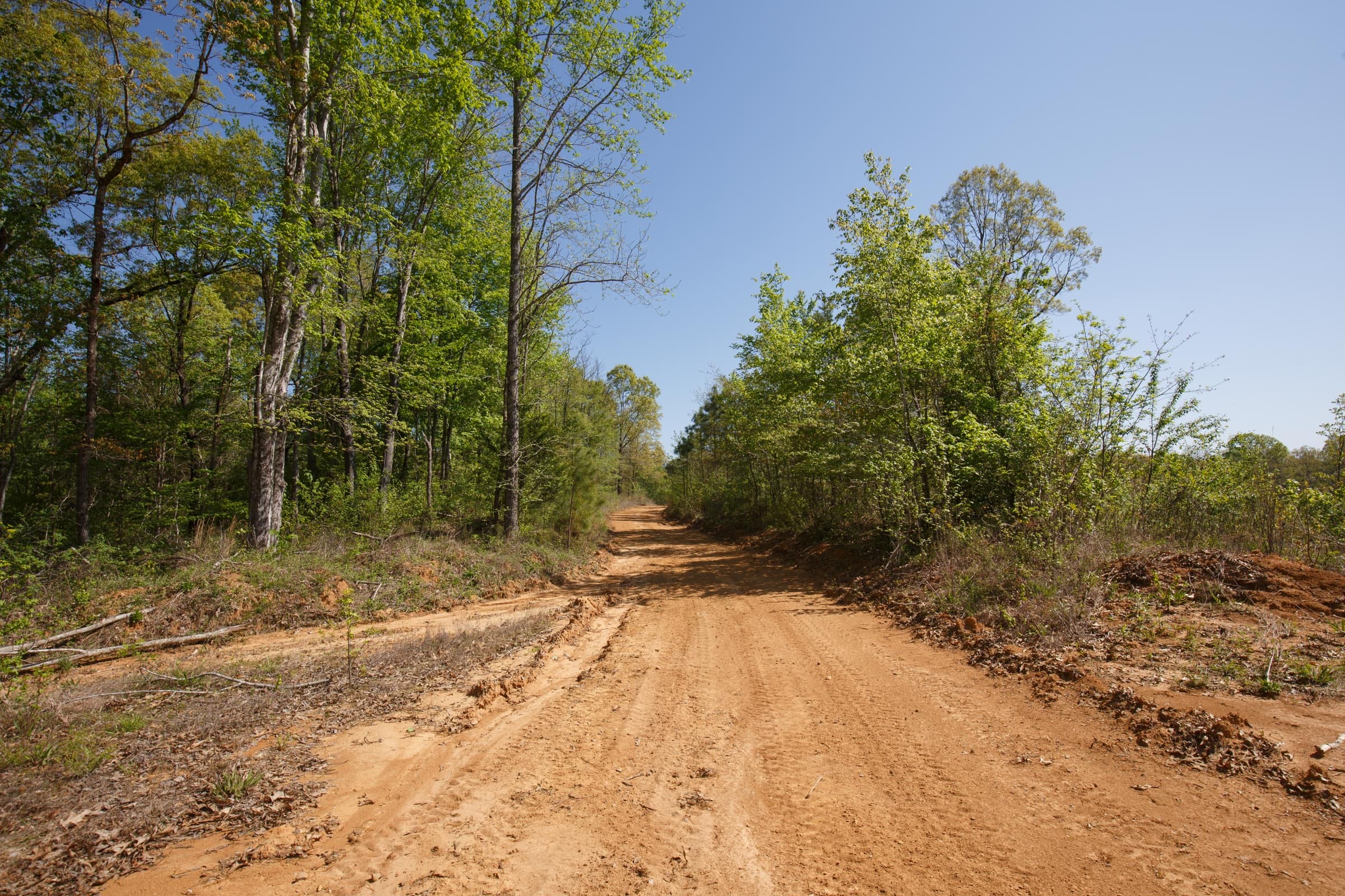 Twin Rivers Tract 6 photo 6