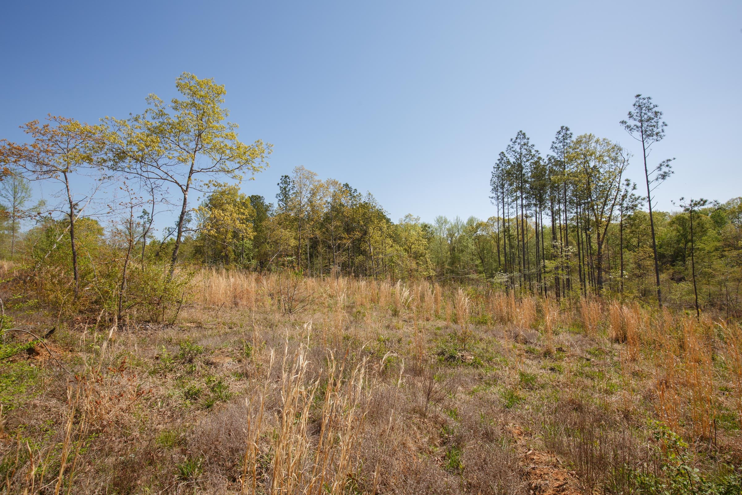 Twin Rivers Tract 6 photo 8