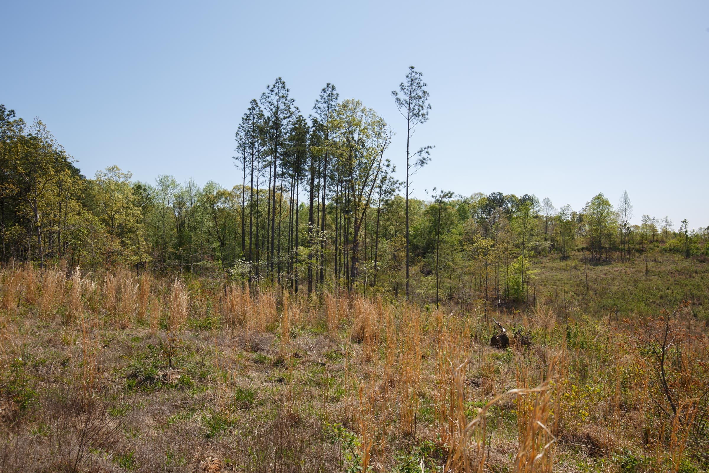 Twin Rivers Tract 6 photo 10