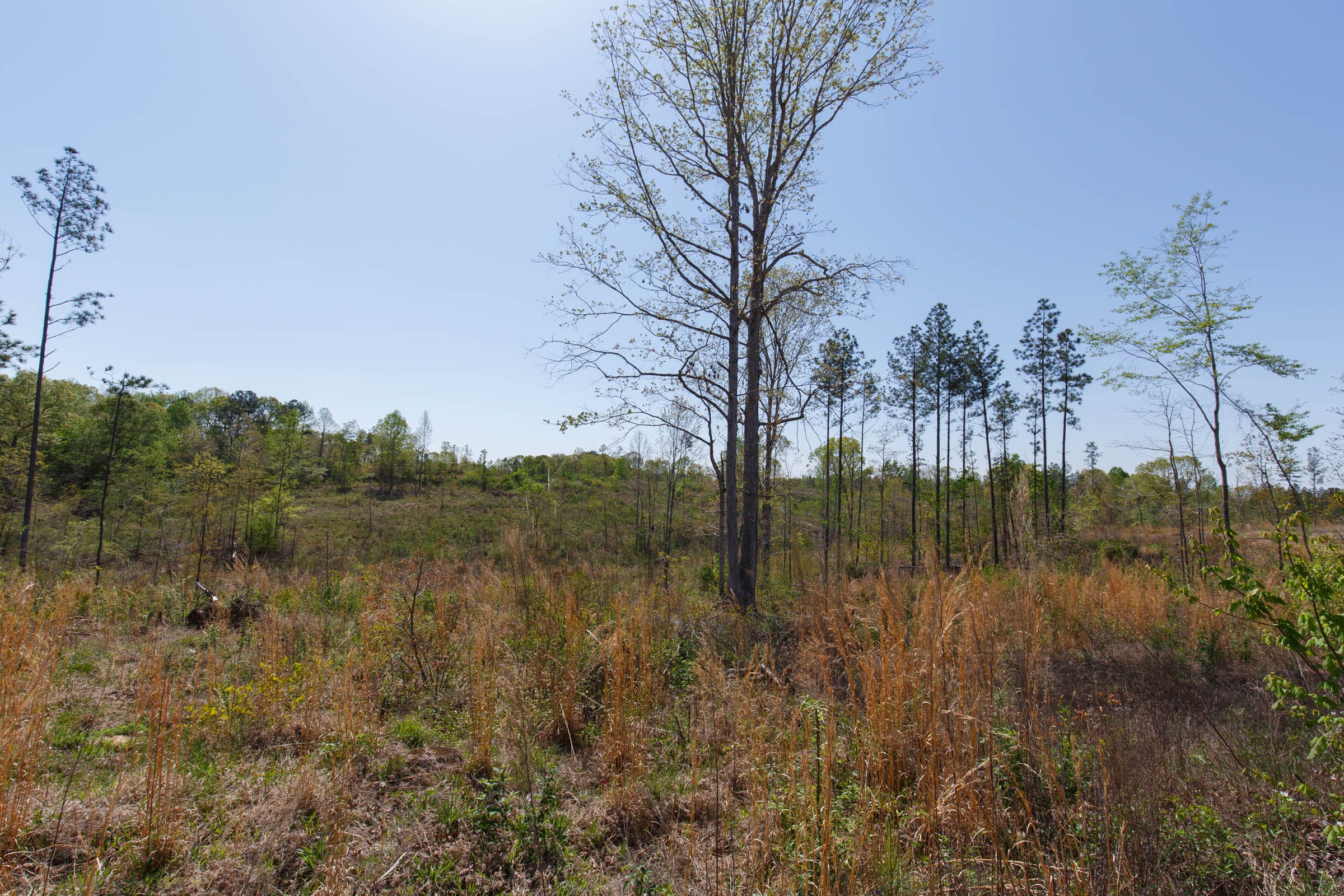 Twin Rivers Tract 6 photo 12