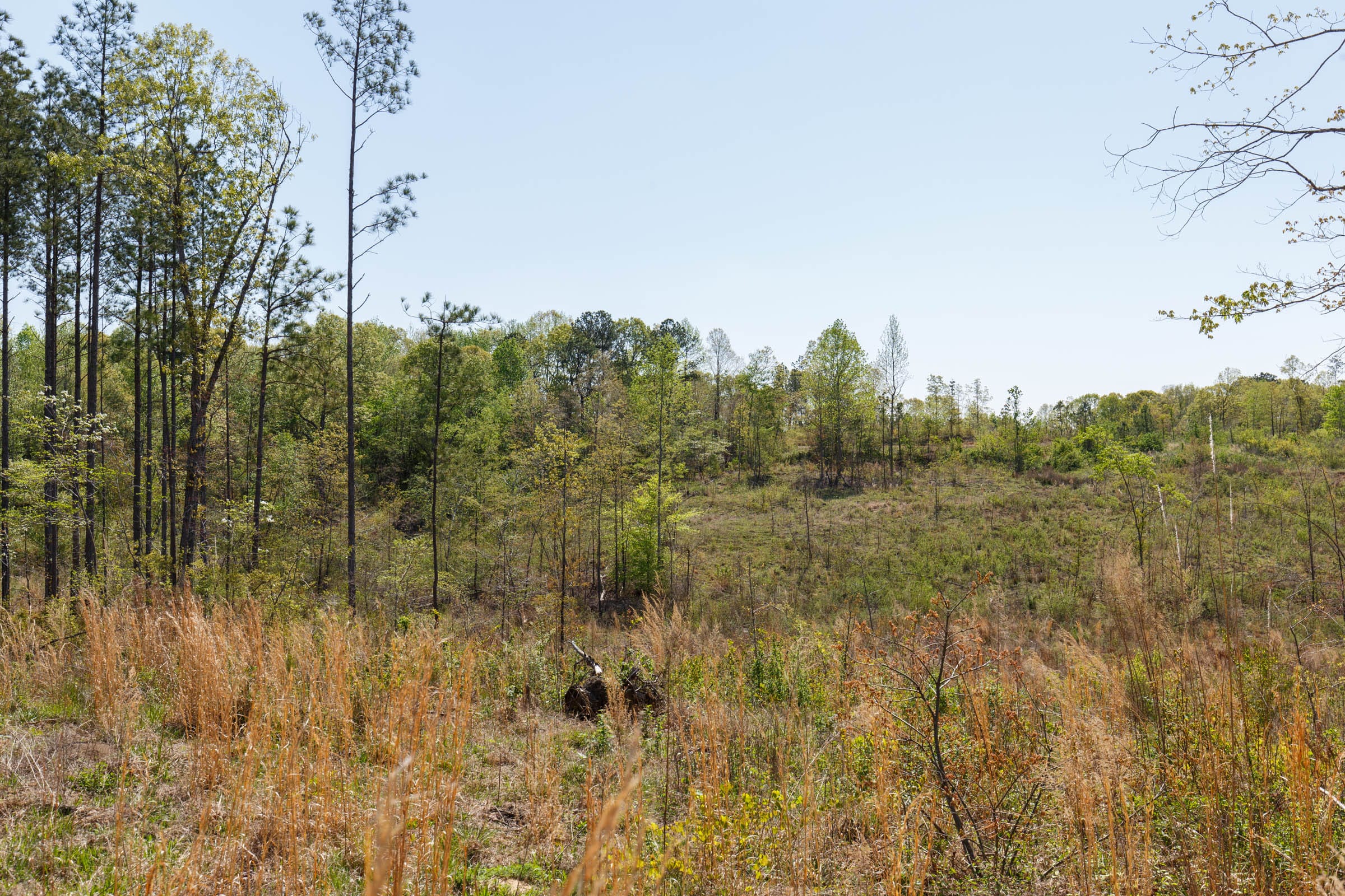 Twin Rivers Tract 6 photo 13