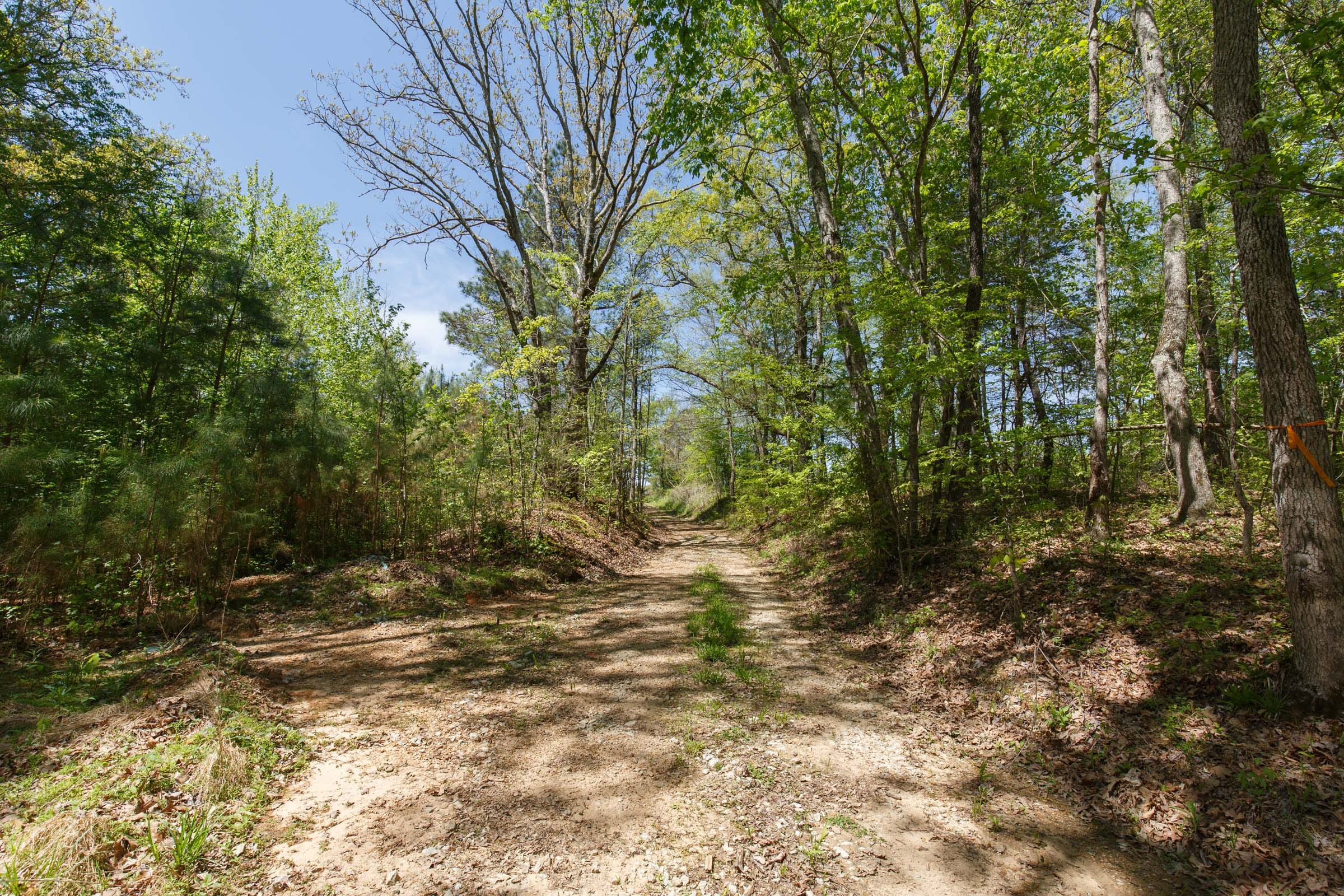 Twin Rivers Tract 6 photo 11