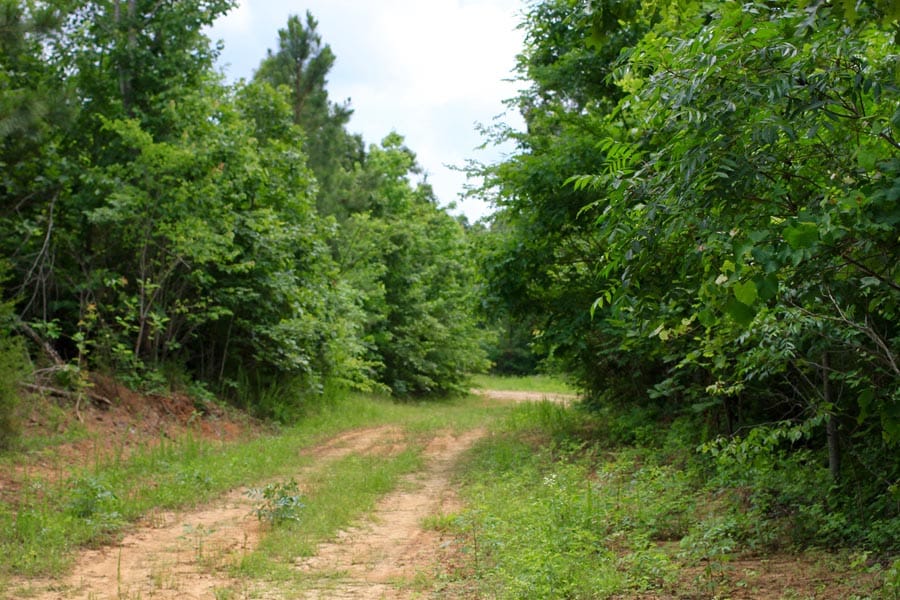 Bluebird Ranch Tract 22 photo 2