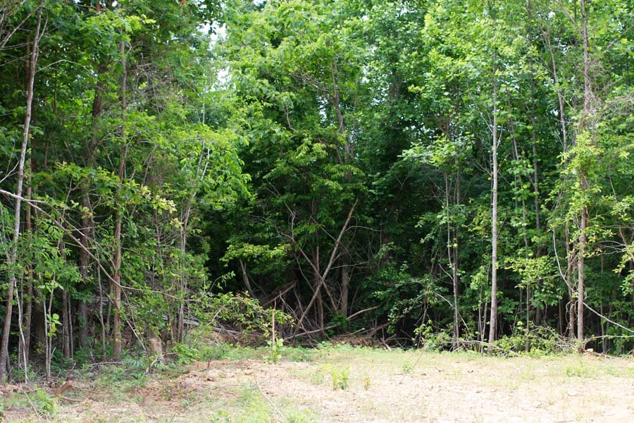 Bluebird Ranch Tract 22 photo 17