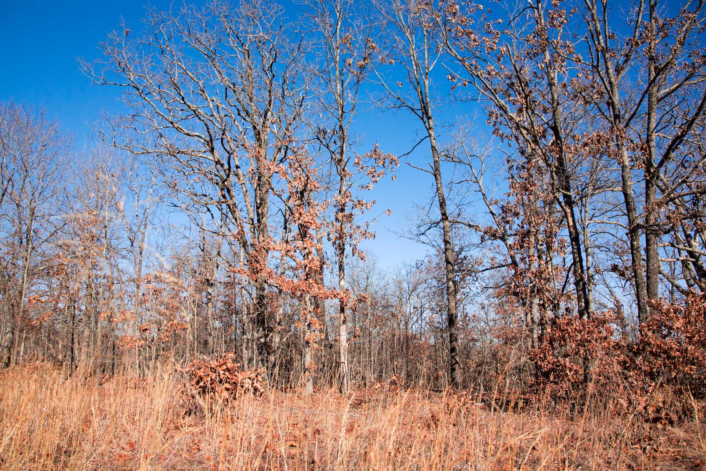 Buffalo Hills Tract 3 photo 2