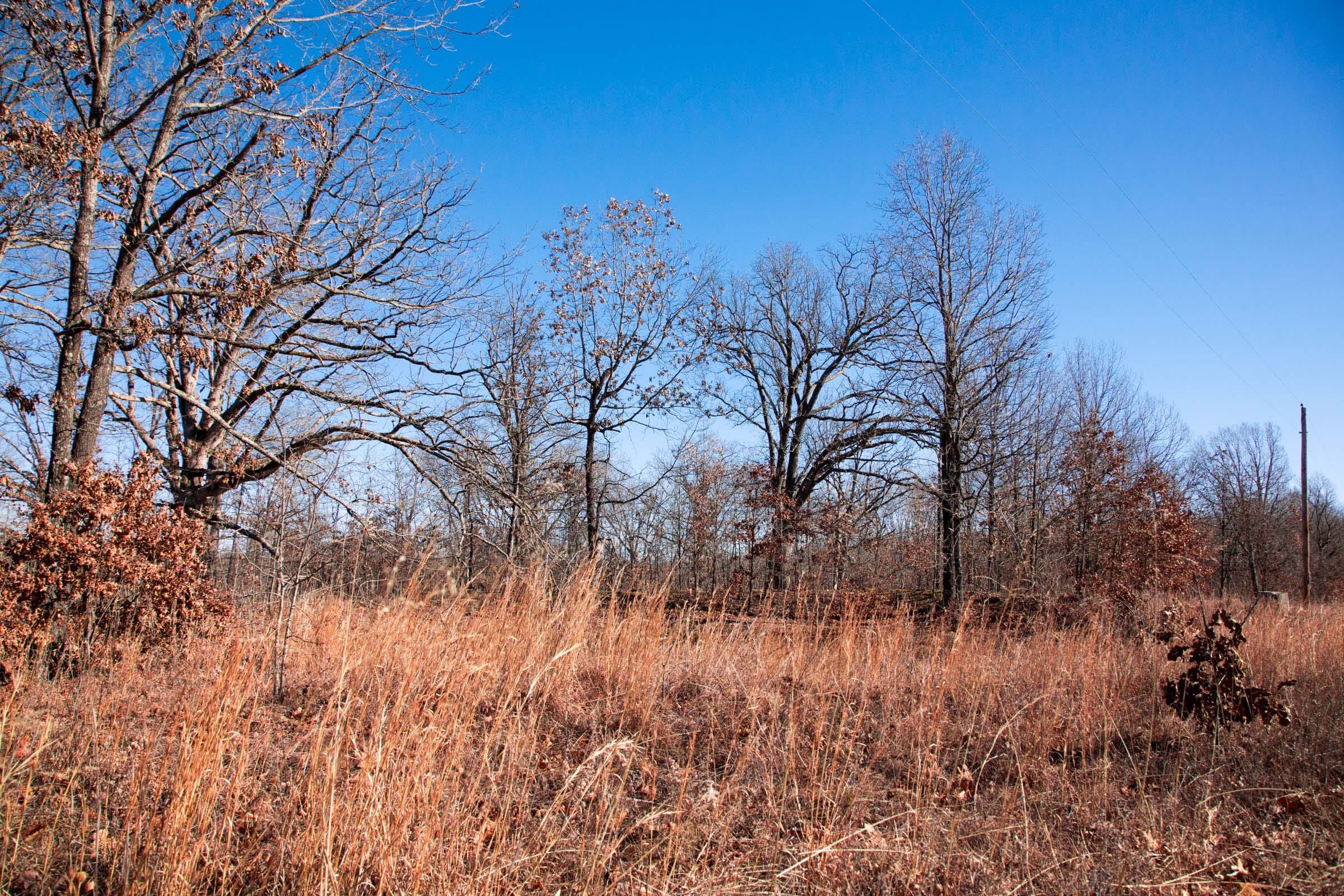 Buffalo Hills Tract 3 photo 3