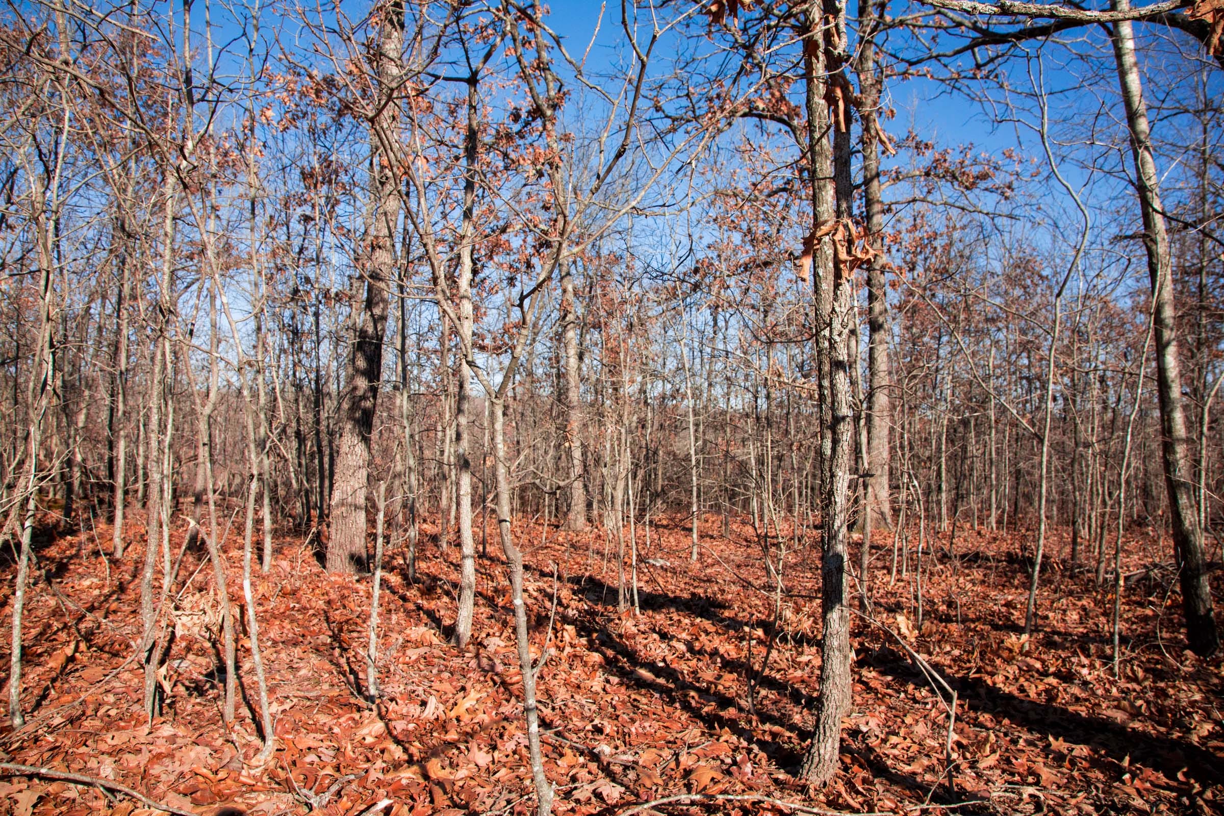 Buffalo Hills Tract 3 photo 4