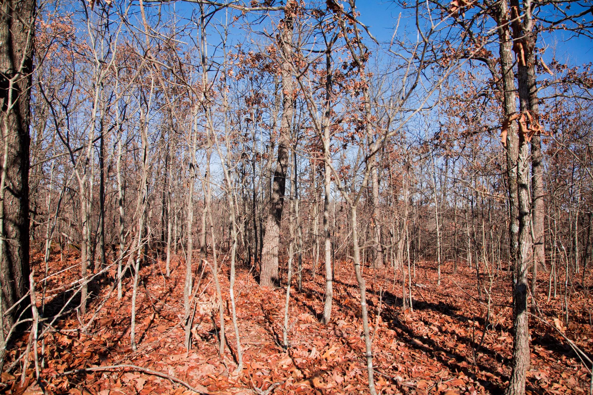 Buffalo Hills Tract 3 photo 5
