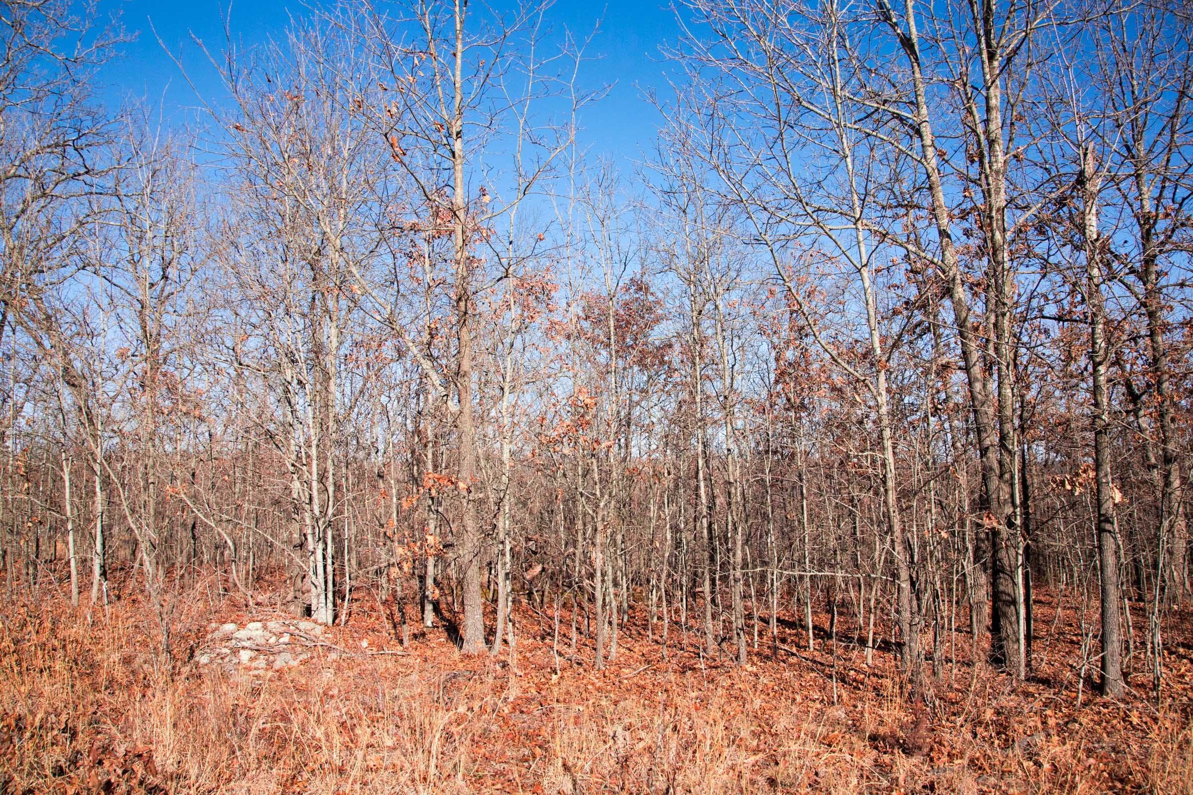 Buffalo Hills Tract 3 photo 7