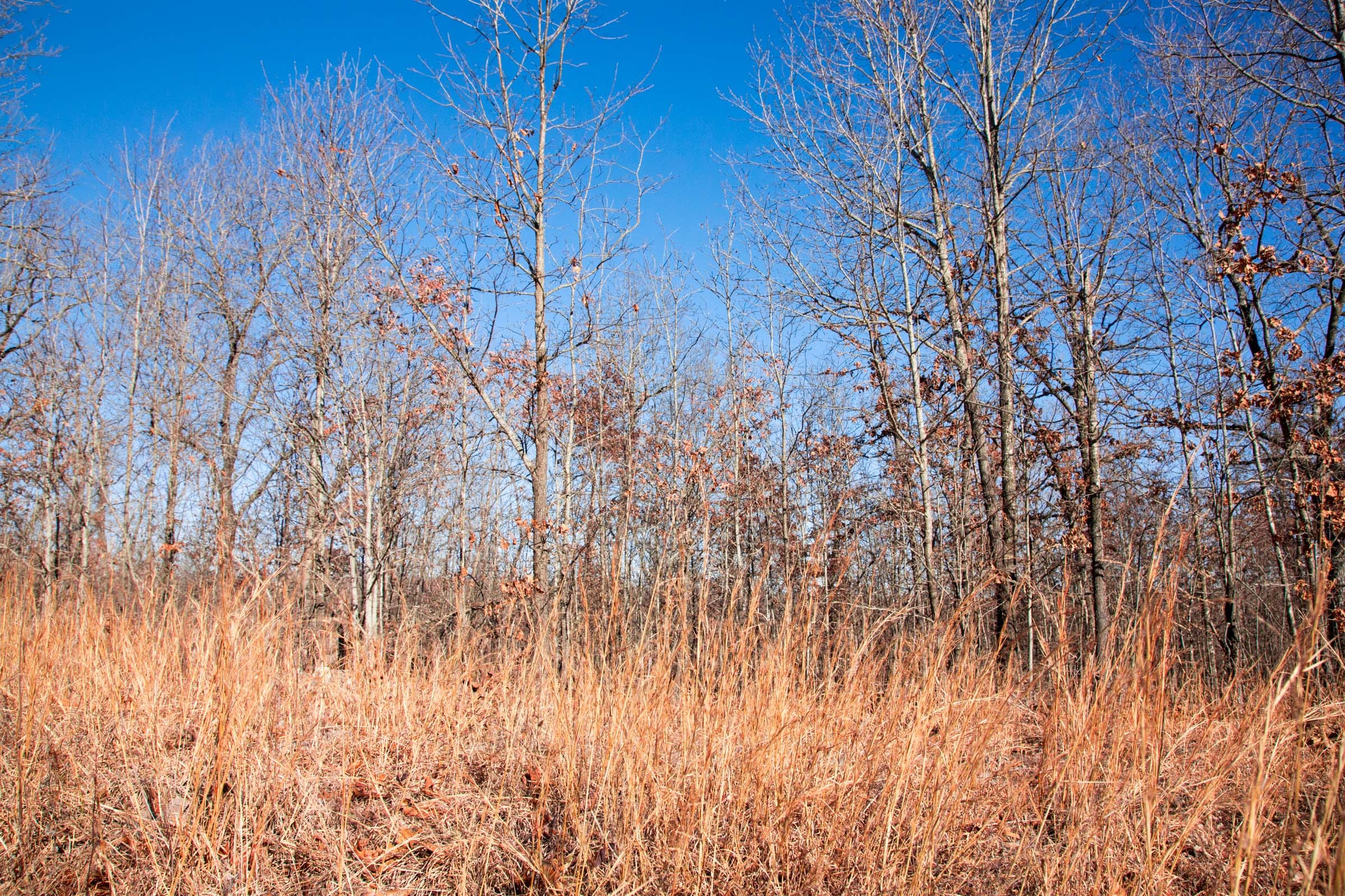 Buffalo Hills Tract 3 photo 8
