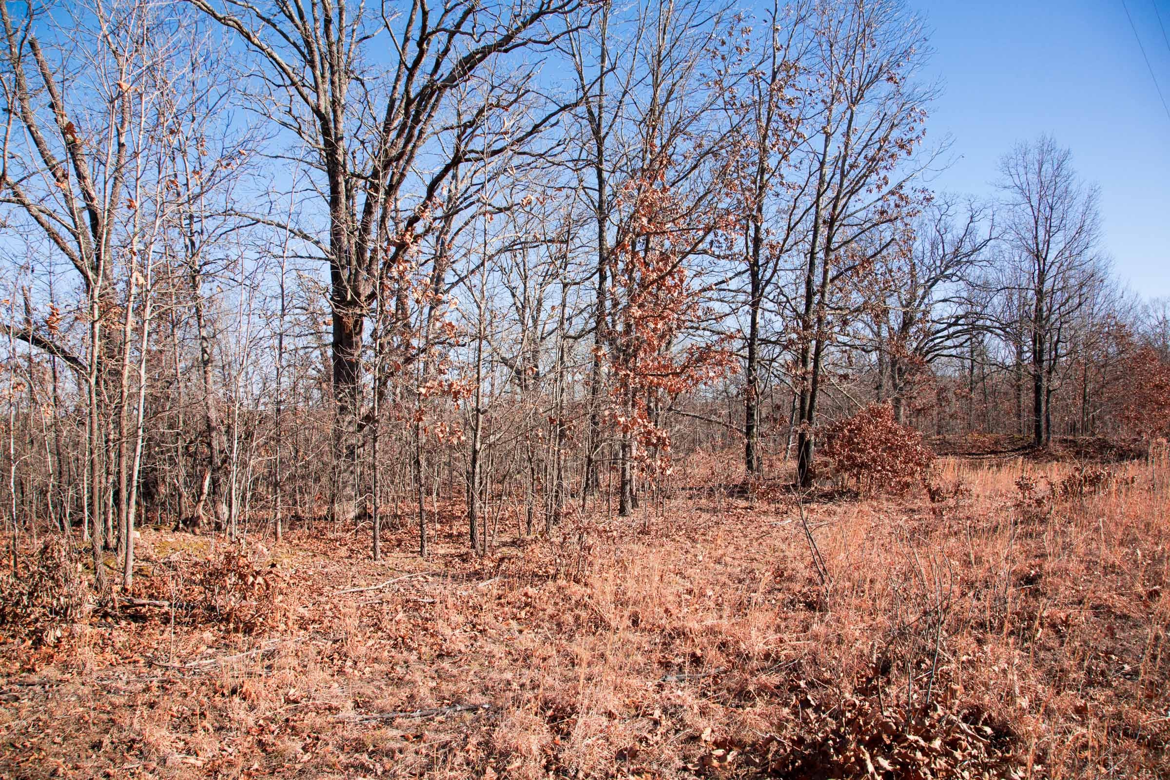 Buffalo Hills Tract 3 photo 9