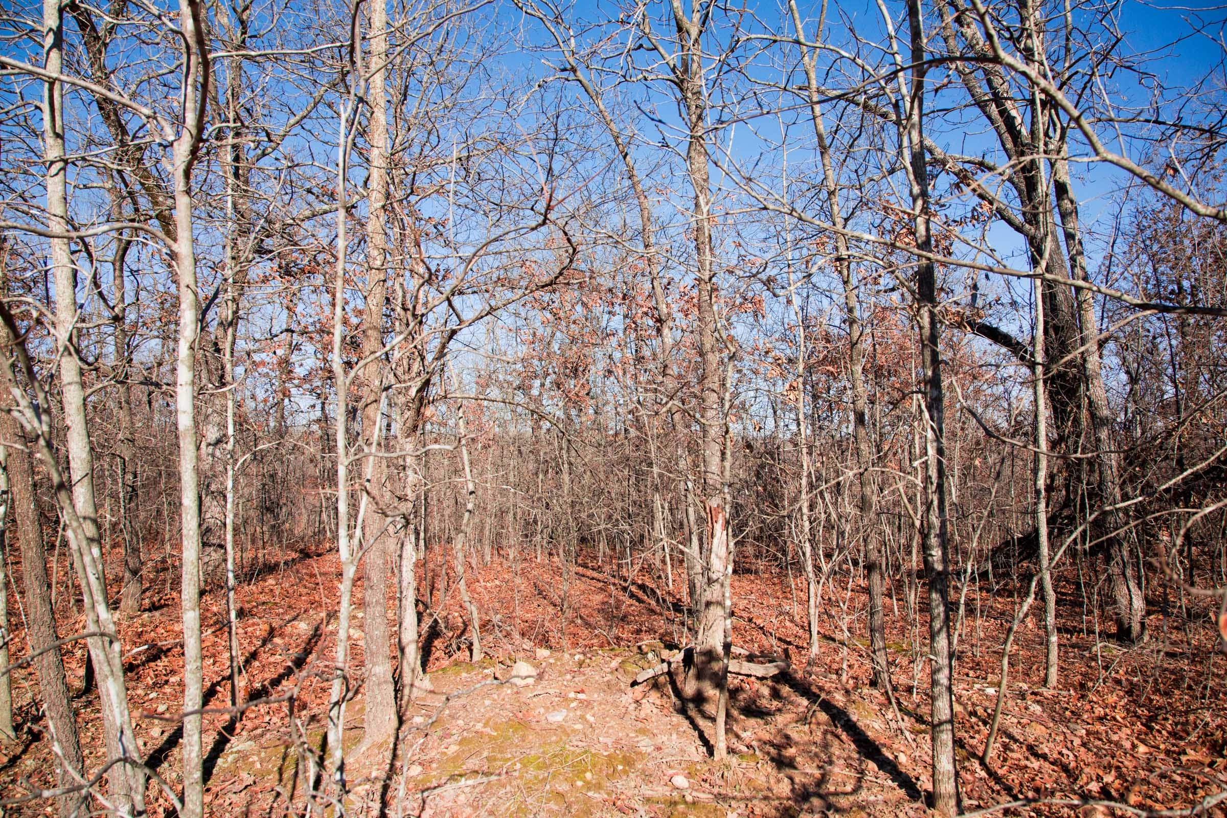 Buffalo Hills Tract 3 photo 10