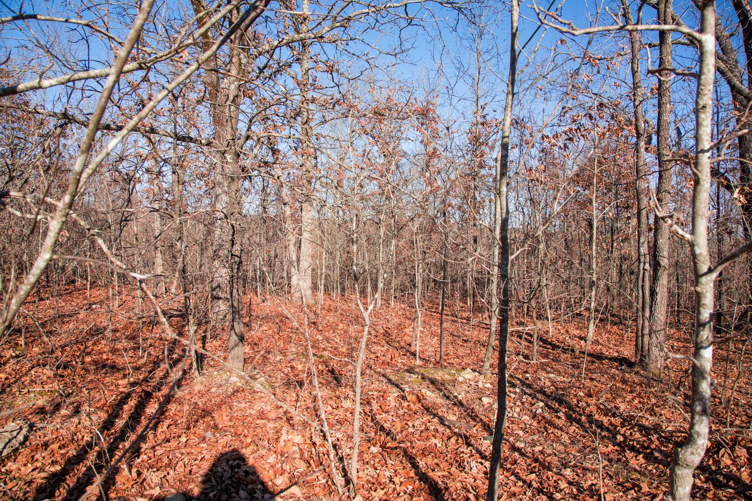 Buffalo Hills Tract 3 photo 11