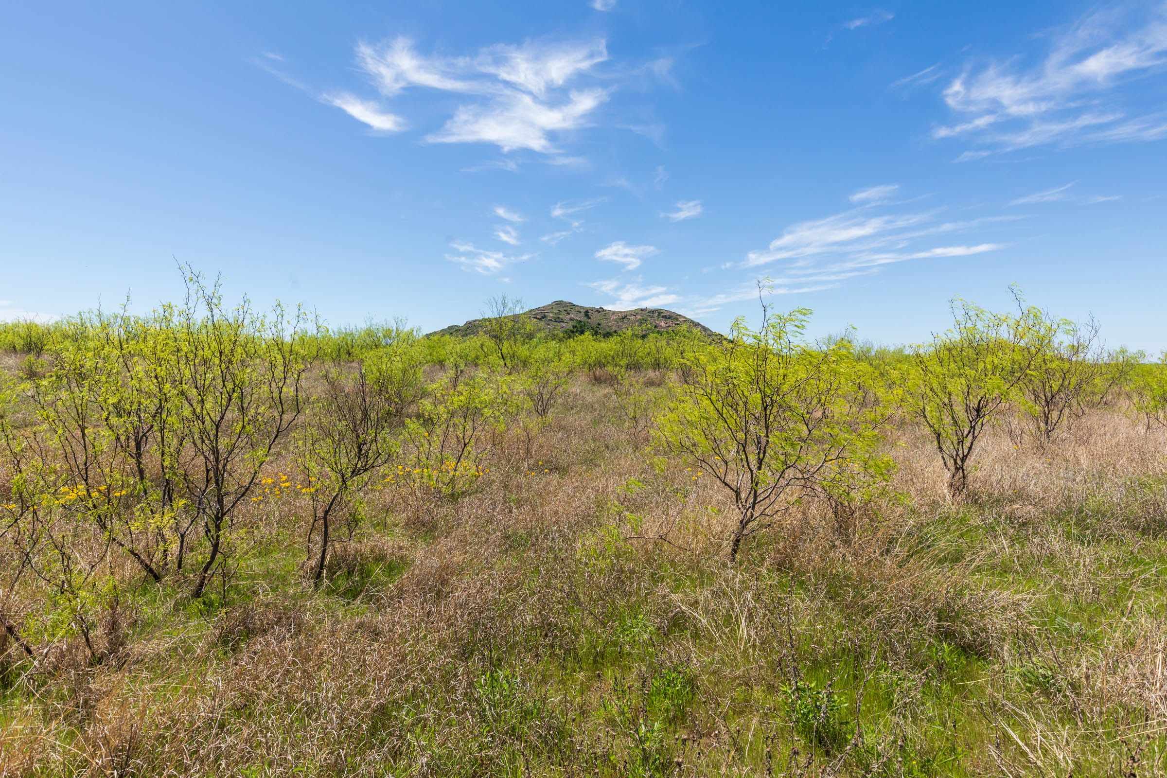 Hackberry Fields Tract 1 photo 4