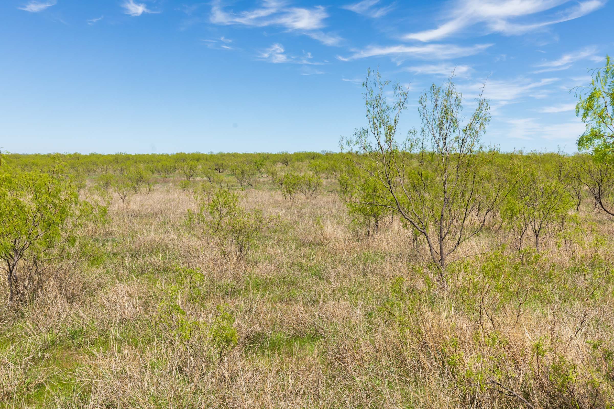 Hackberry Fields Tract 1 photo 8