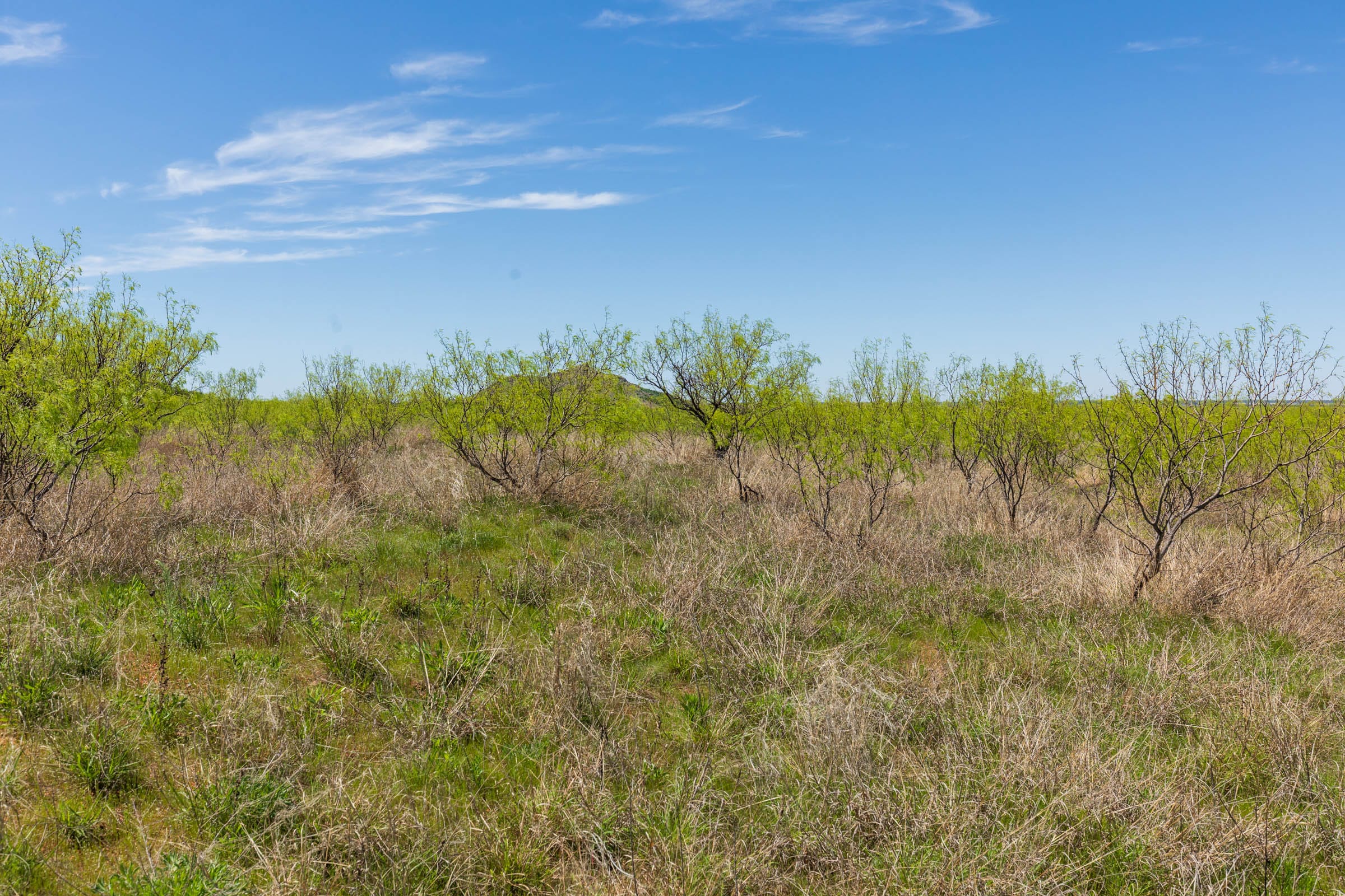 Hackberry Fields Tract 1 photo 9