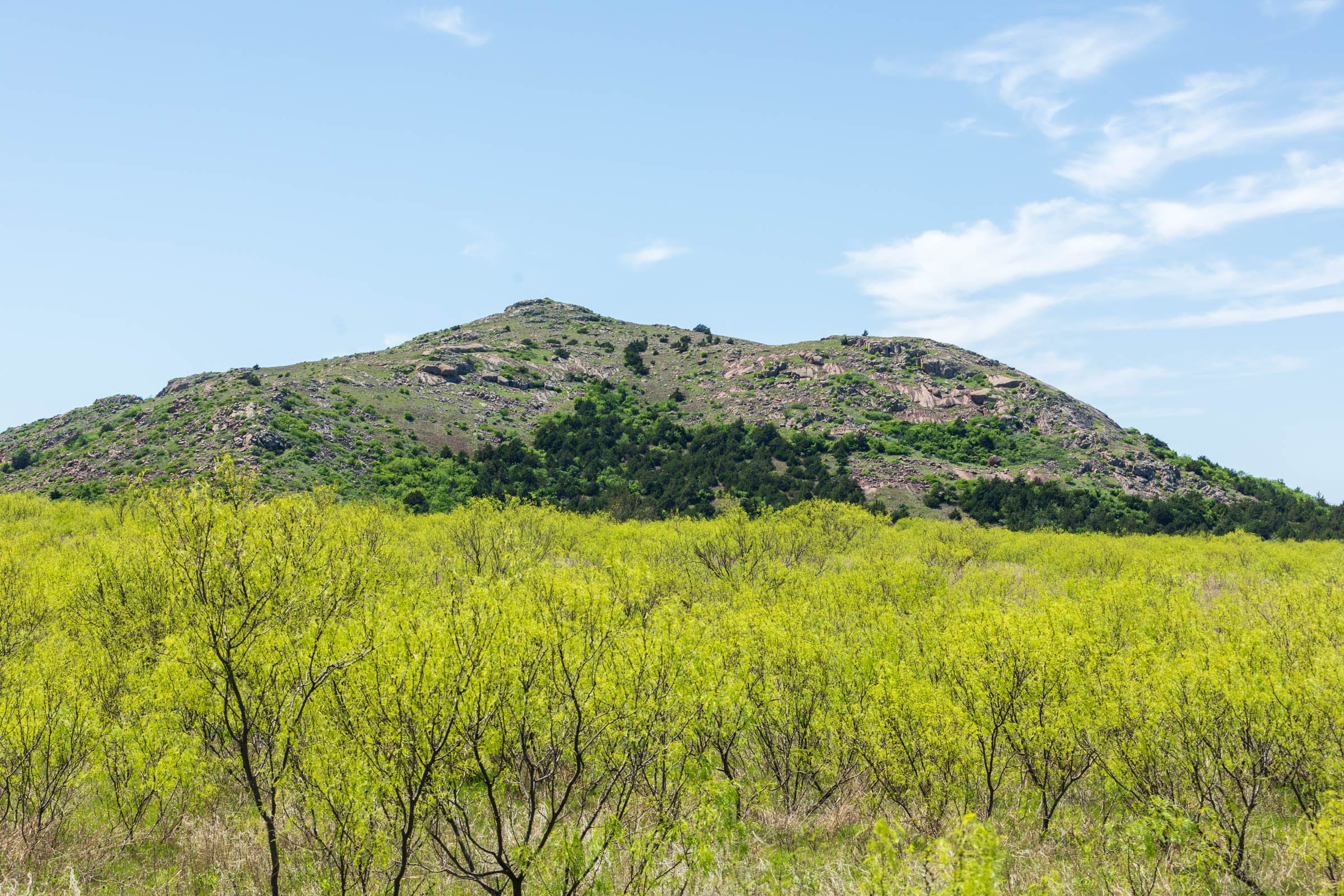 Hackberry Fields Tract 1 photo 1
