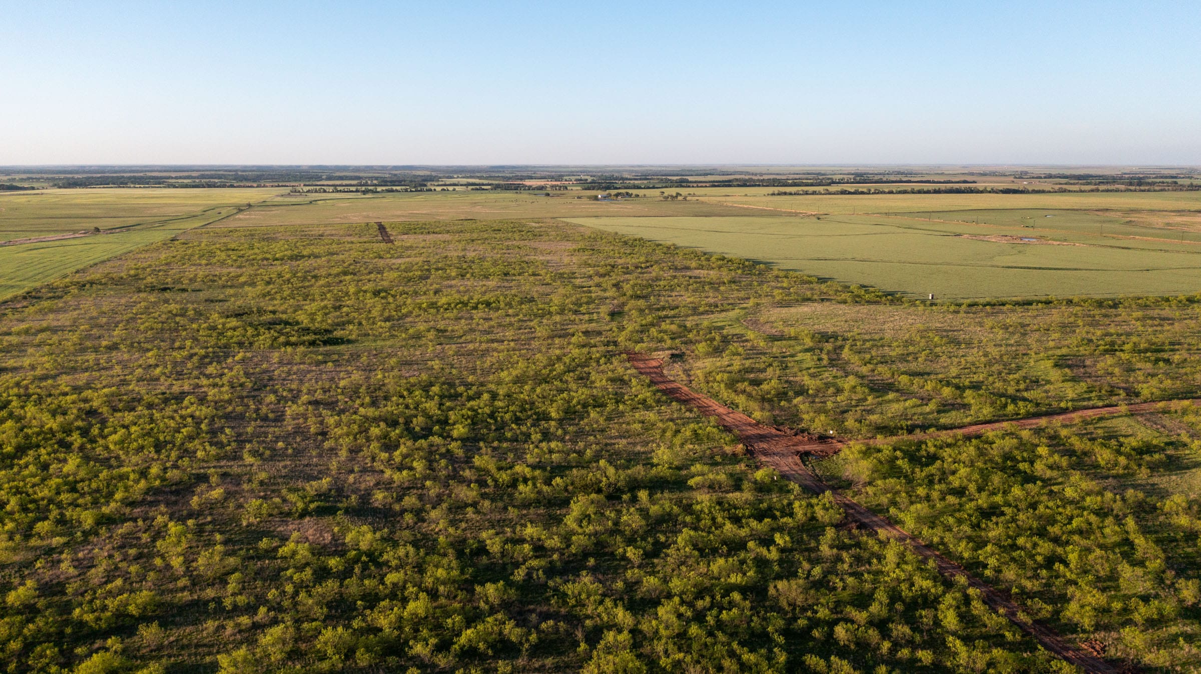 Hackberry Fields Tract 1 photo 5