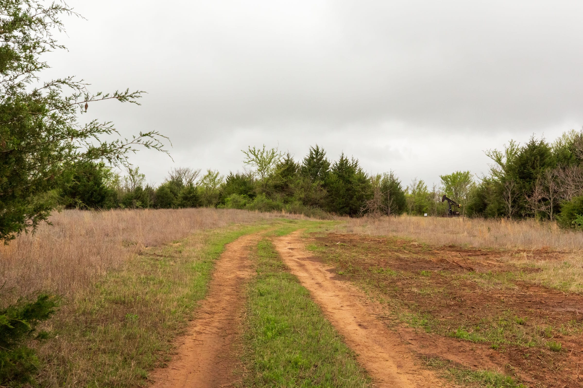 Moonrise Meadows Tract 5 photo 1
