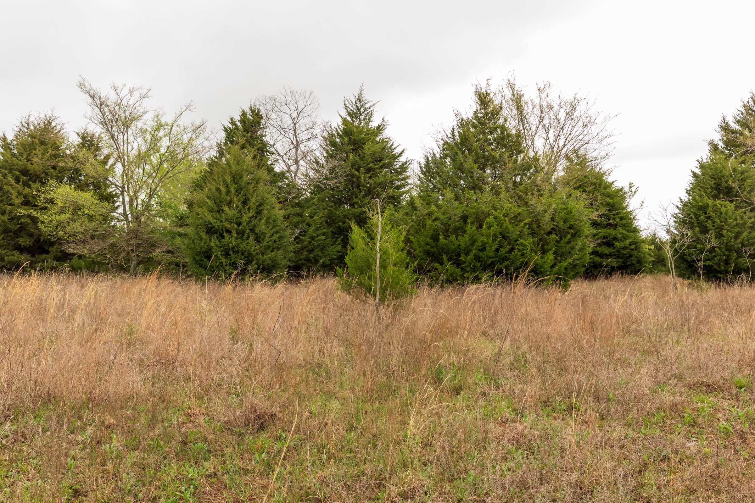 Moonrise Meadows Tract 5 photo 9