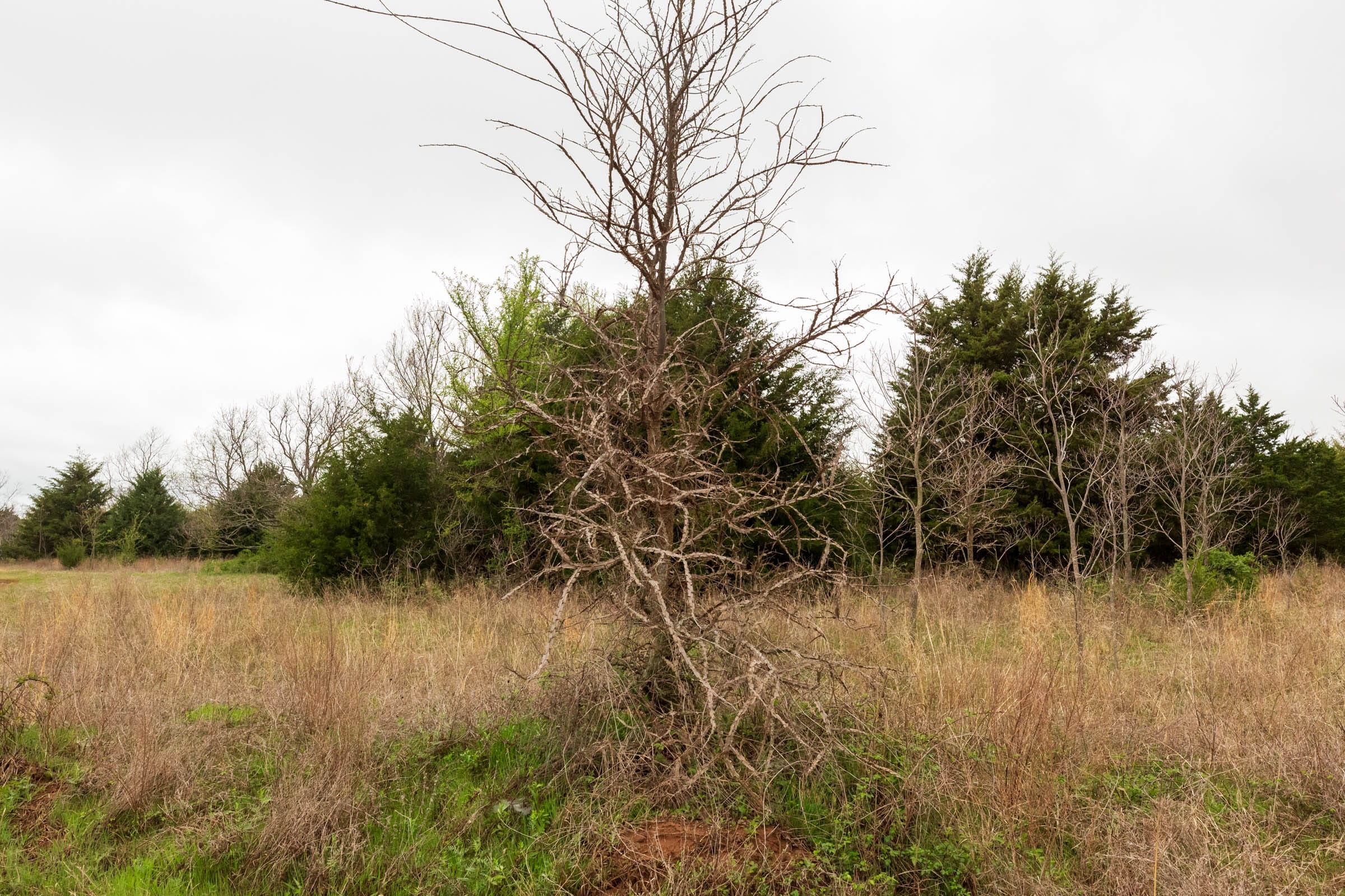 Moonrise Meadows Tract 5 photo 17