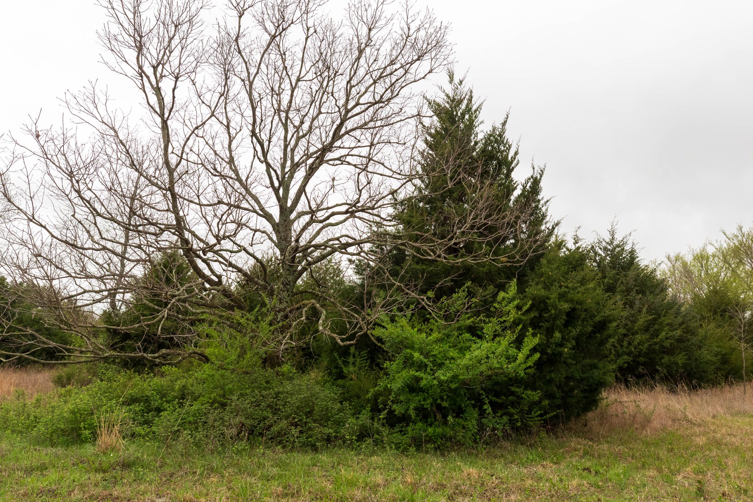 Moonrise Meadows Tract 5 photo 16