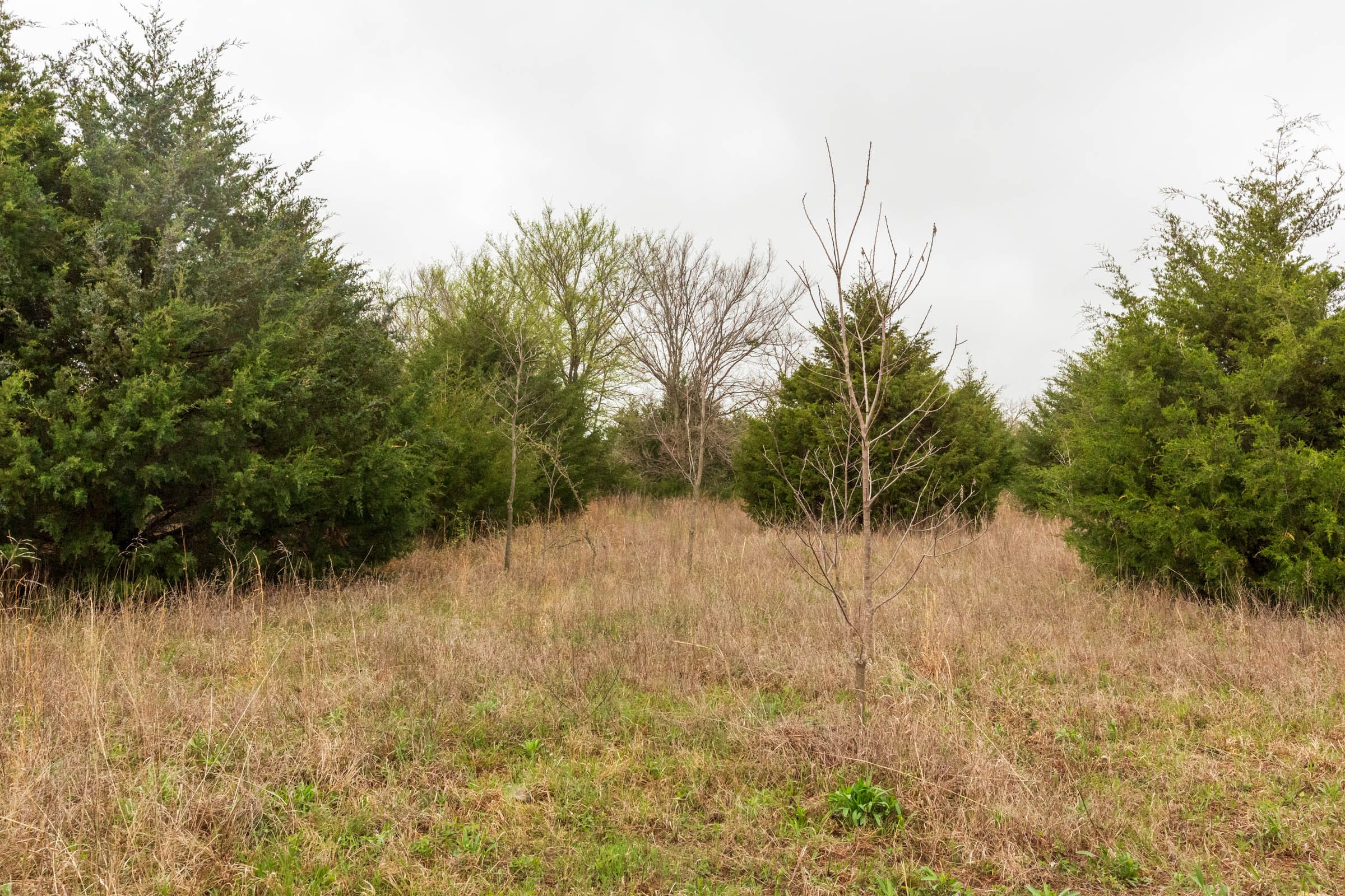 Moonrise Meadows Tract 5 photo 15