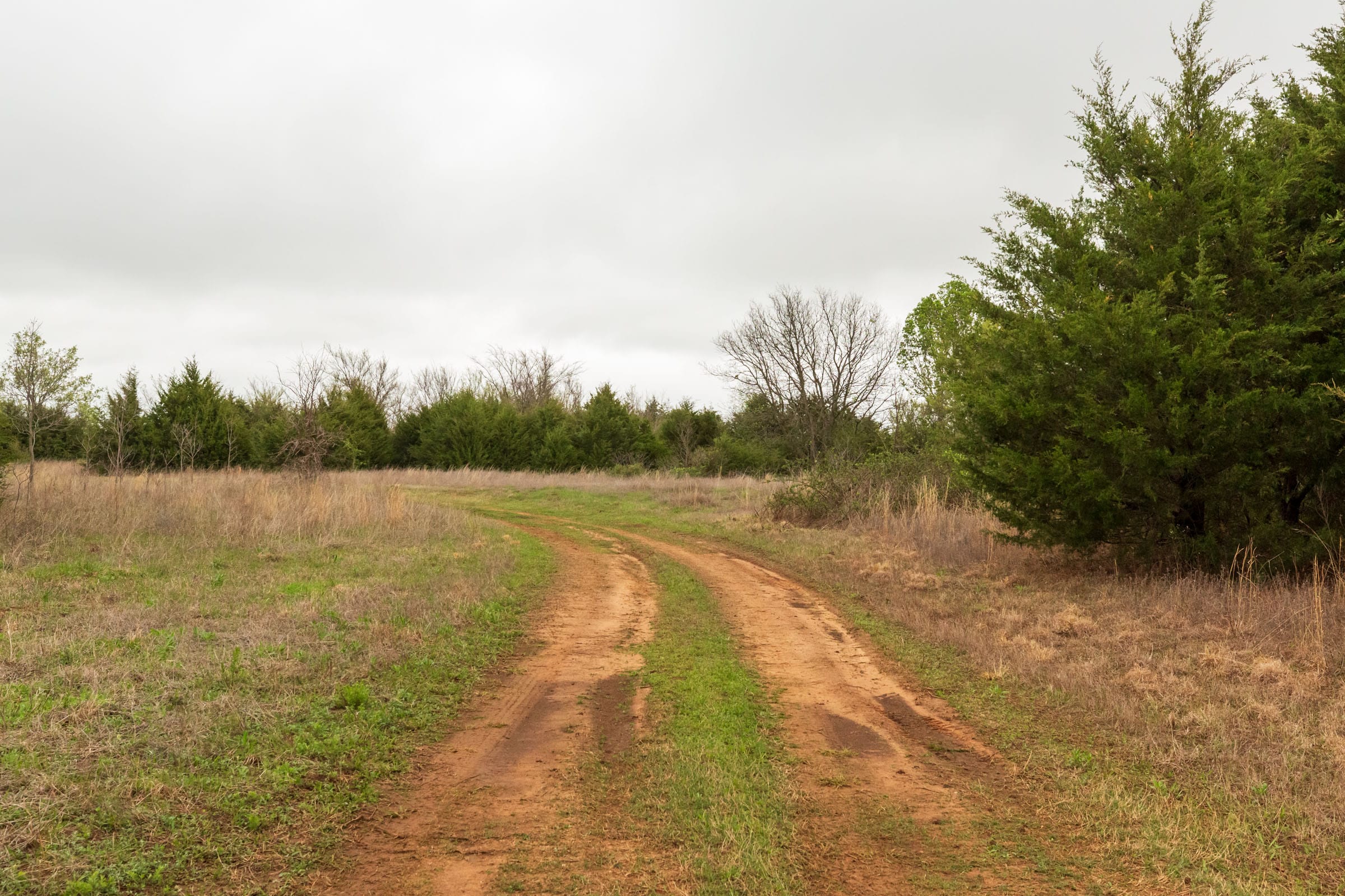 Moonrise Meadows Tract 5 photo 12