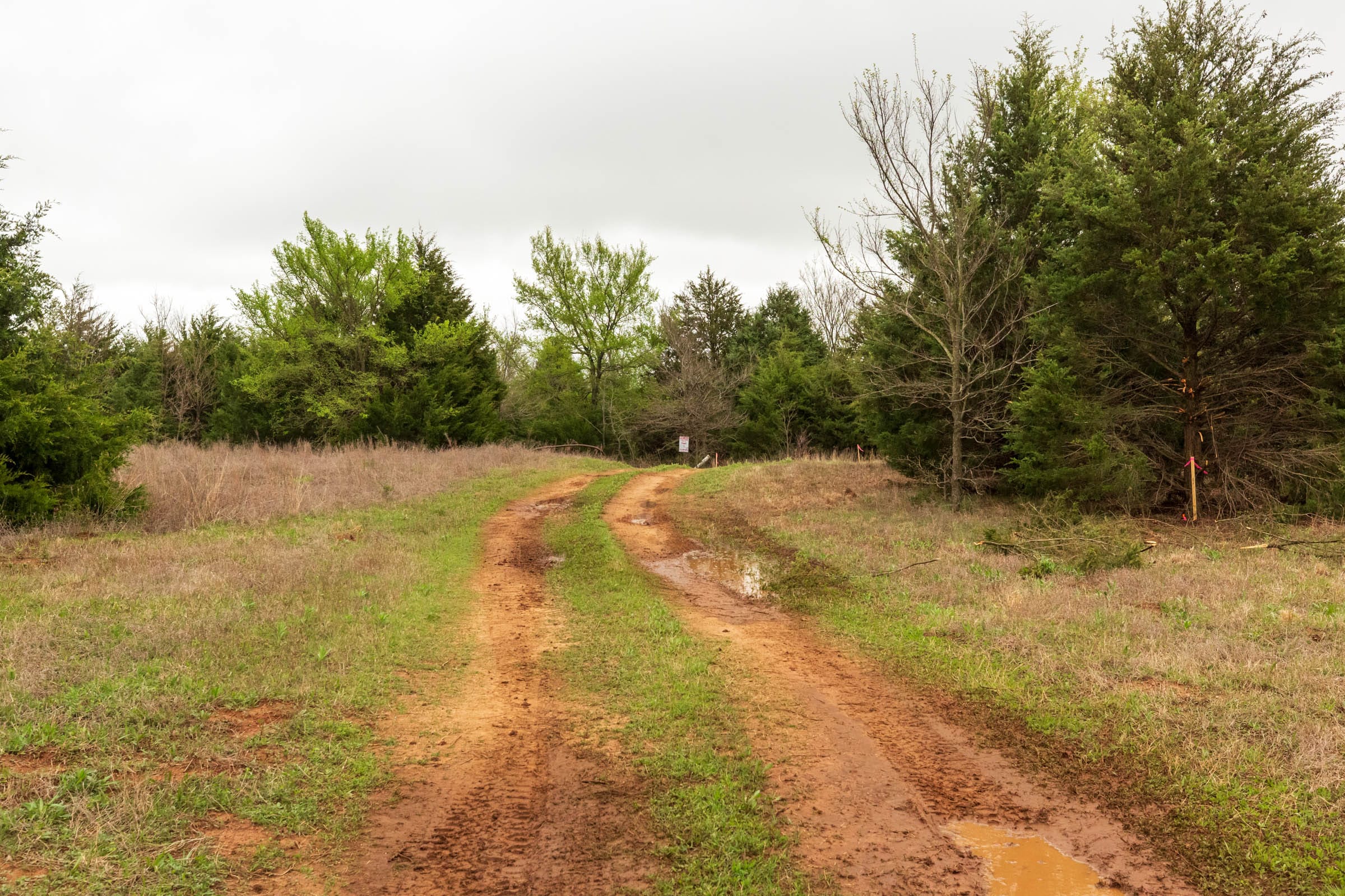 Moonrise Meadows Tract 5 photo 18