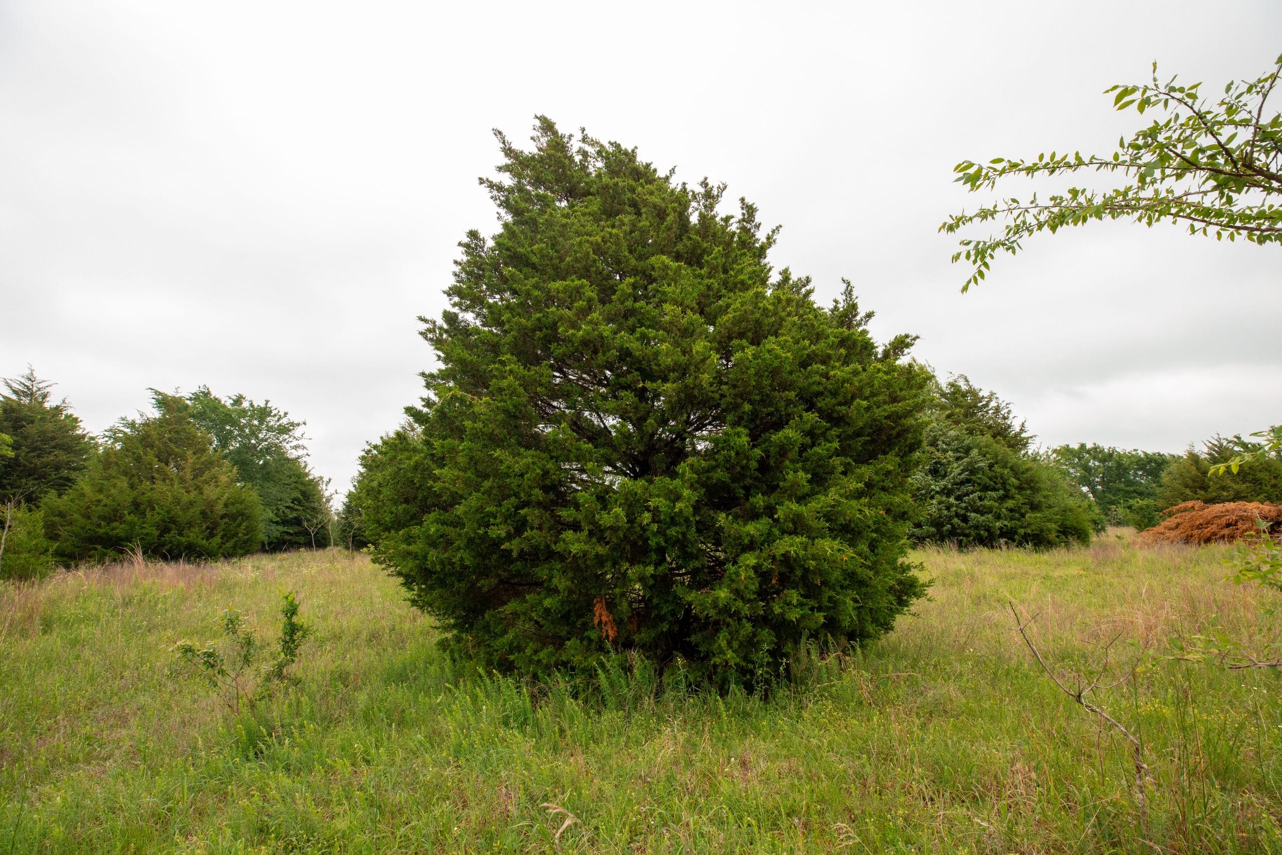 Moonrise Meadows Tract 5 photo 2