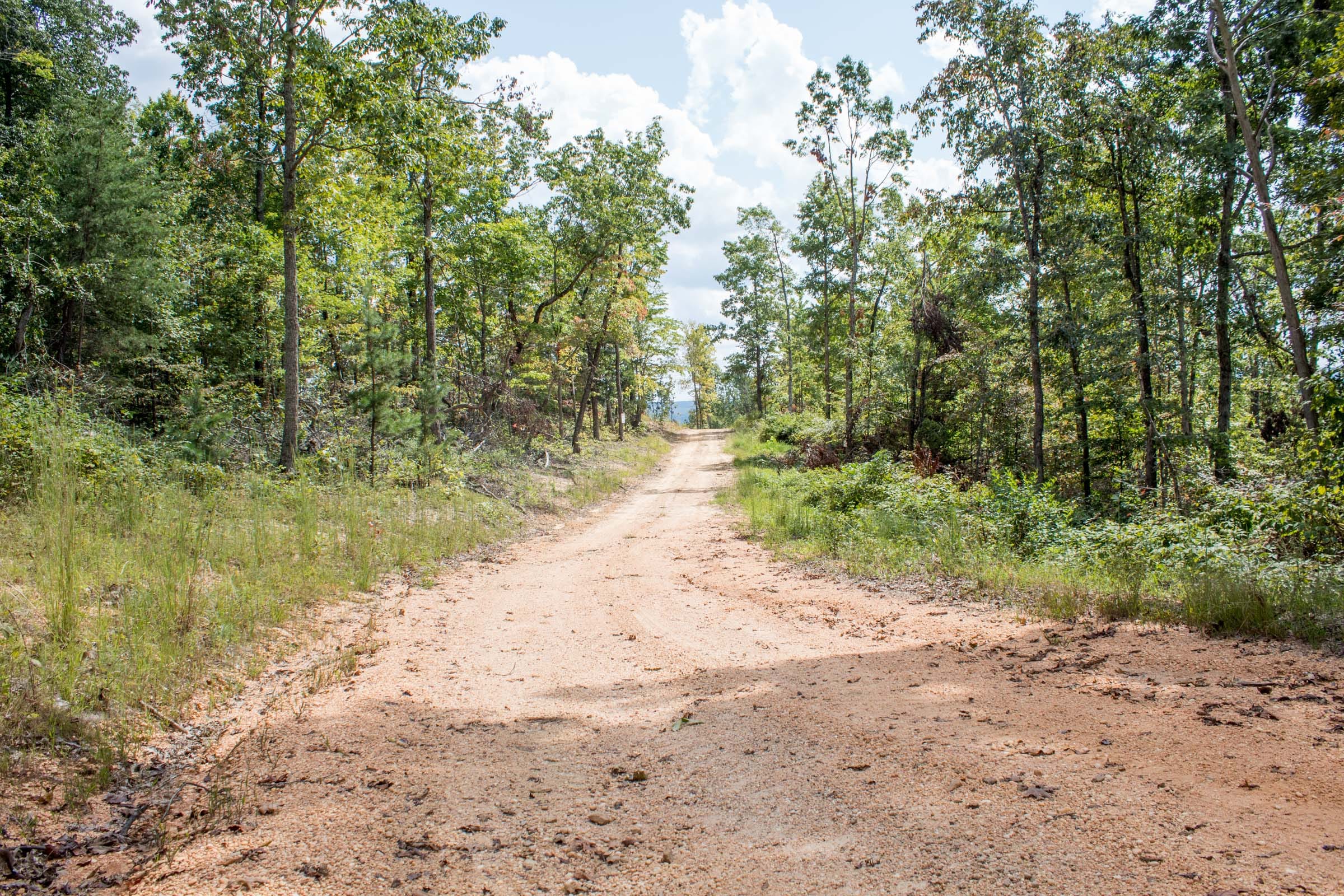 Buck Run Ridge Tract 6 photo 1