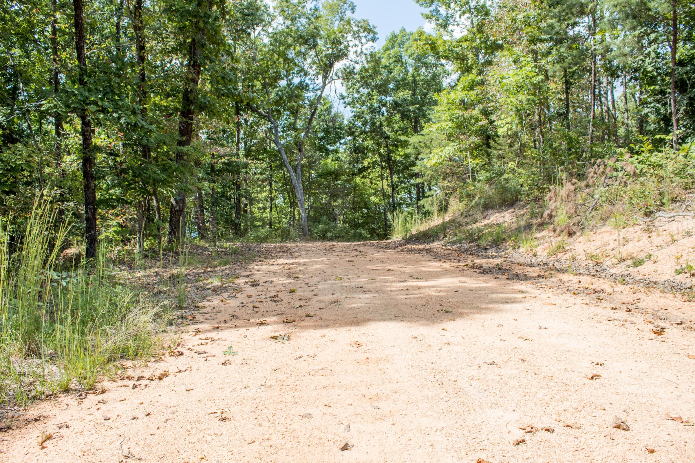 Buck Run Ridge Tract 6 photo 2