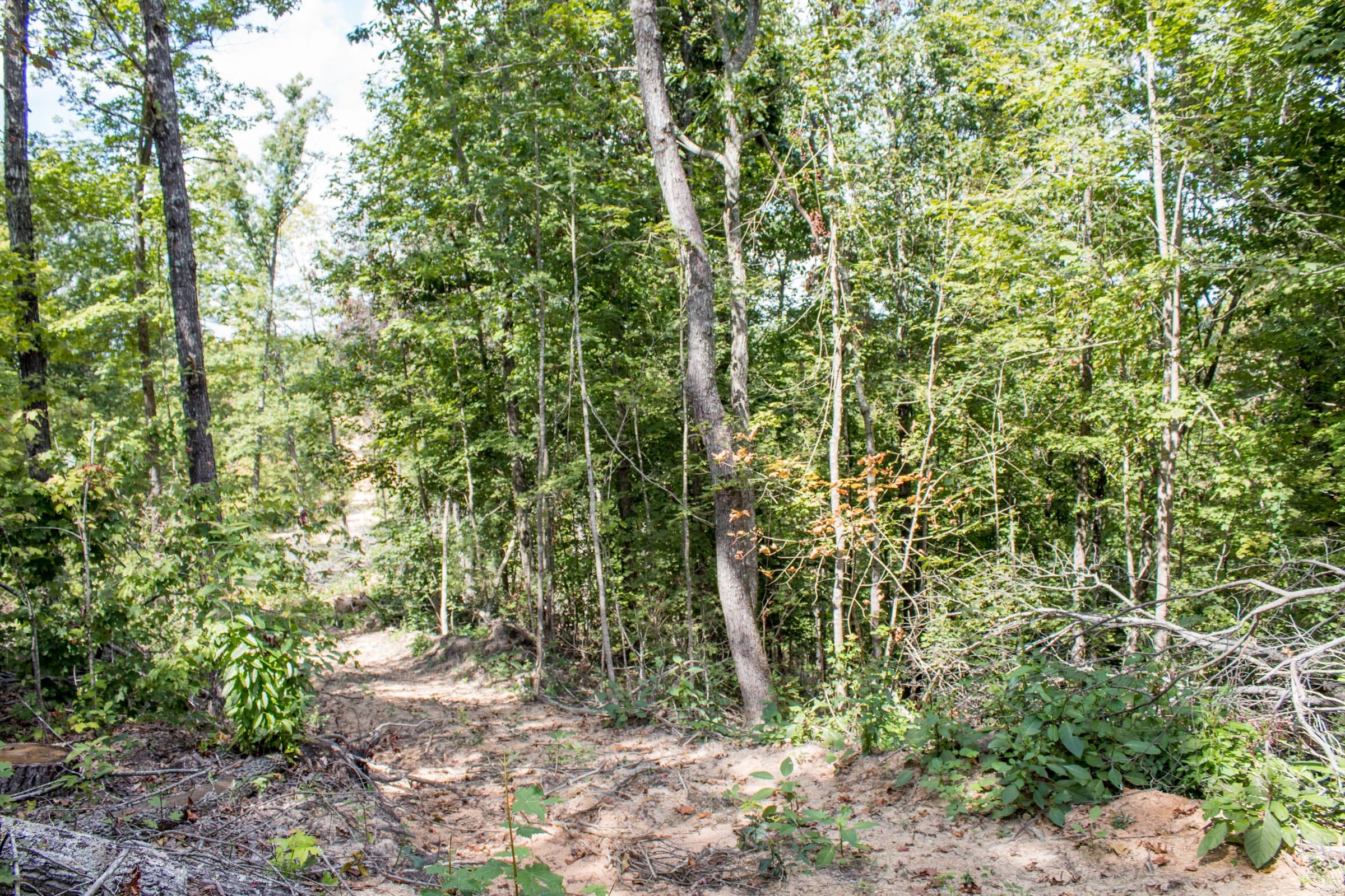 Buck Run Ridge Tract 6 photo 9