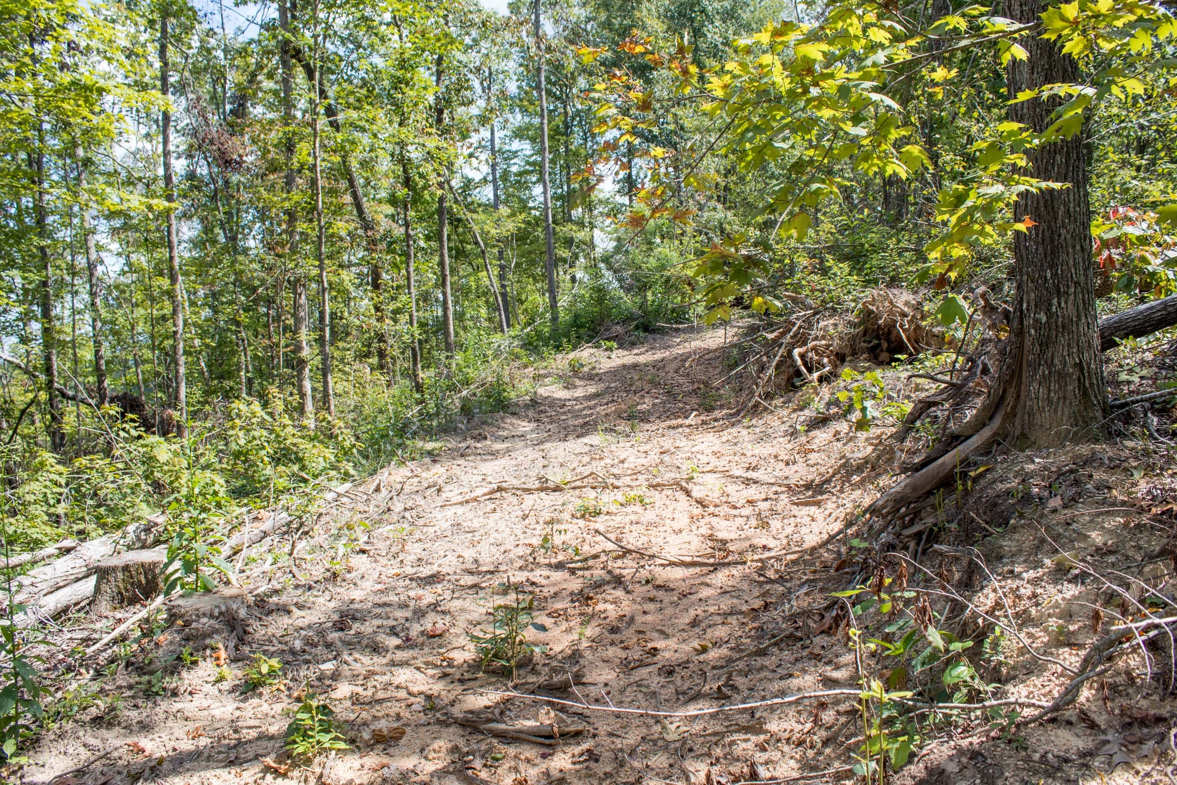Buck Run Ridge Tract 6 photo 10
